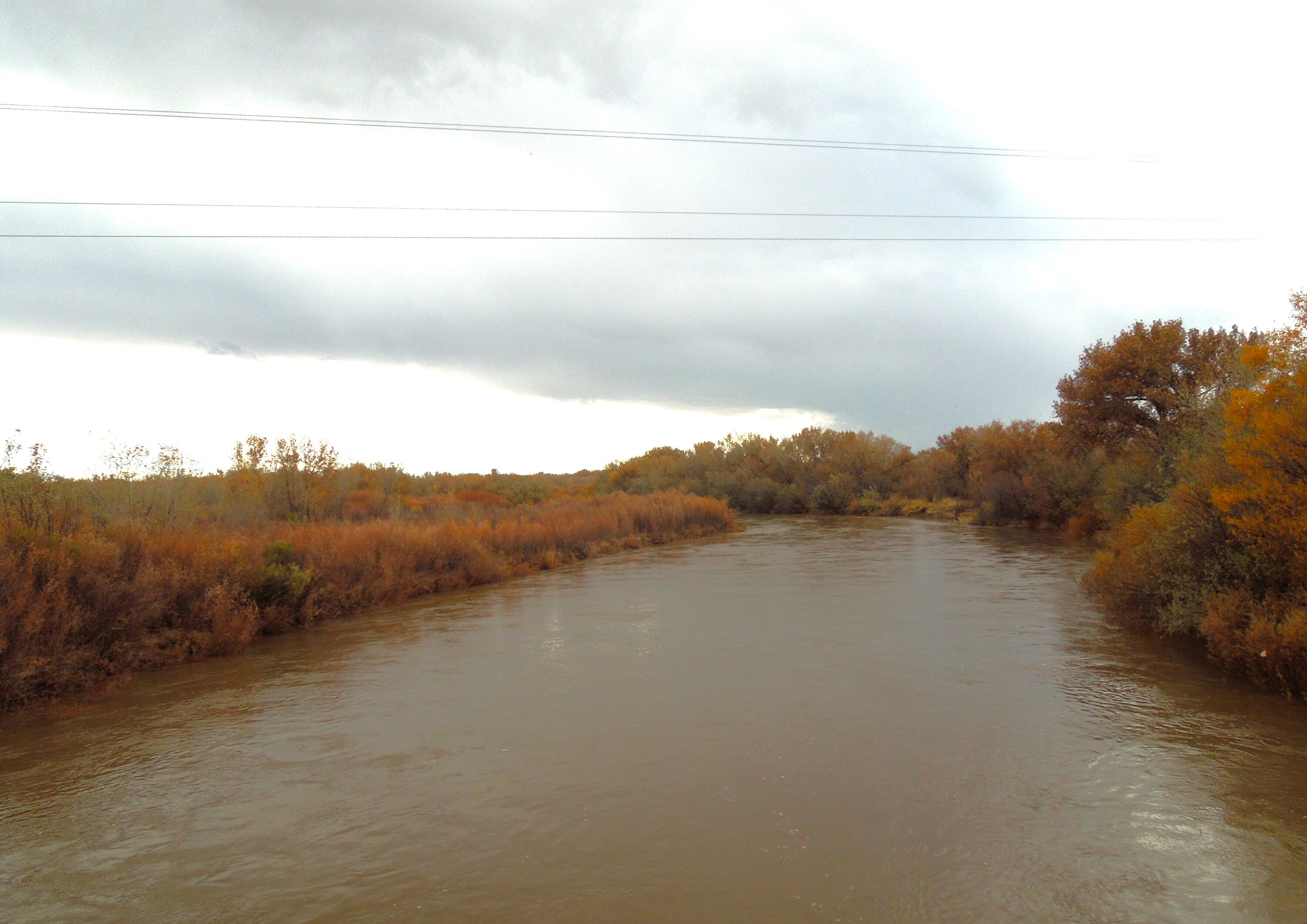 194 Gardenia Avenue Avenue