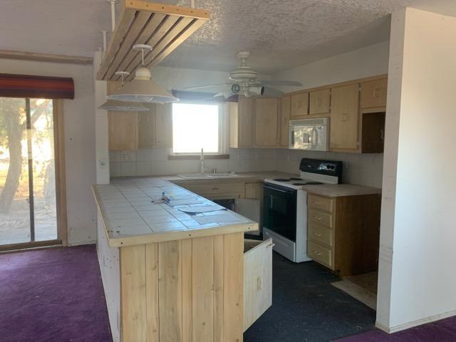 19 Camino De La Ciruela