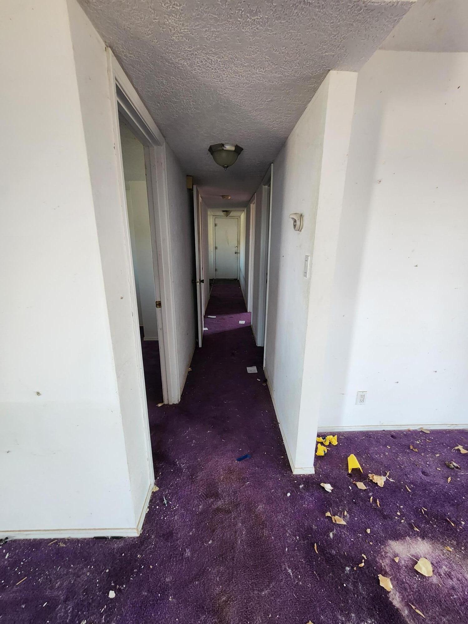 19 Camino De La Ciruela