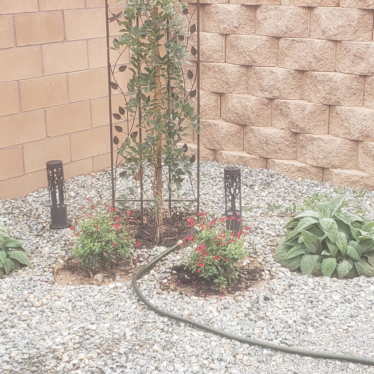 1561 Corta Cantera SW