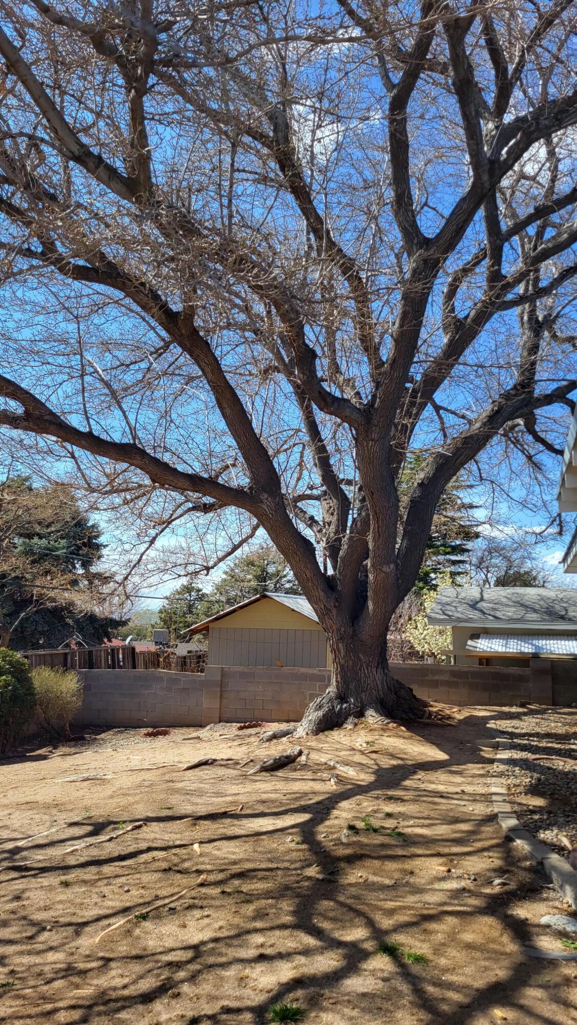 12220 Pineridge Avenue NE