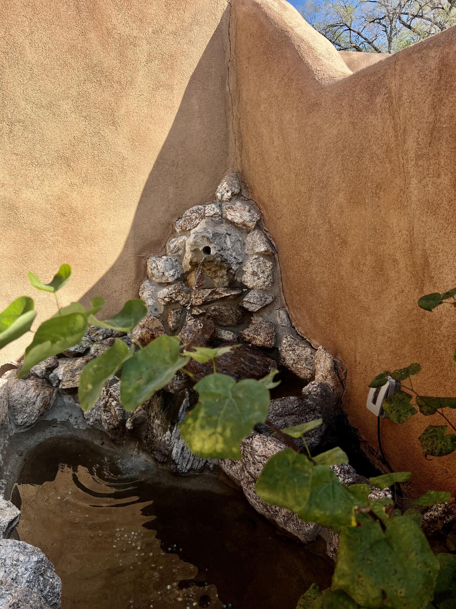 225 A Willow Road NW