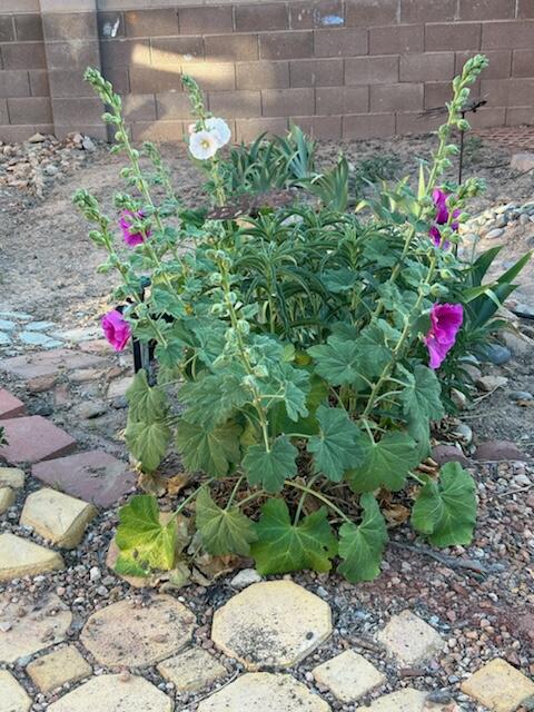 10520 Calle Sombra NW