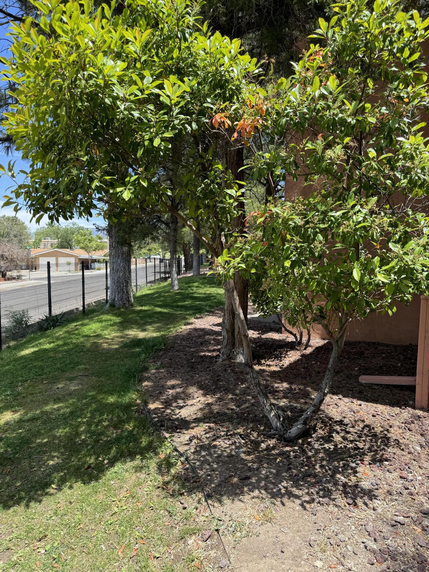 2800 Vail SE 153