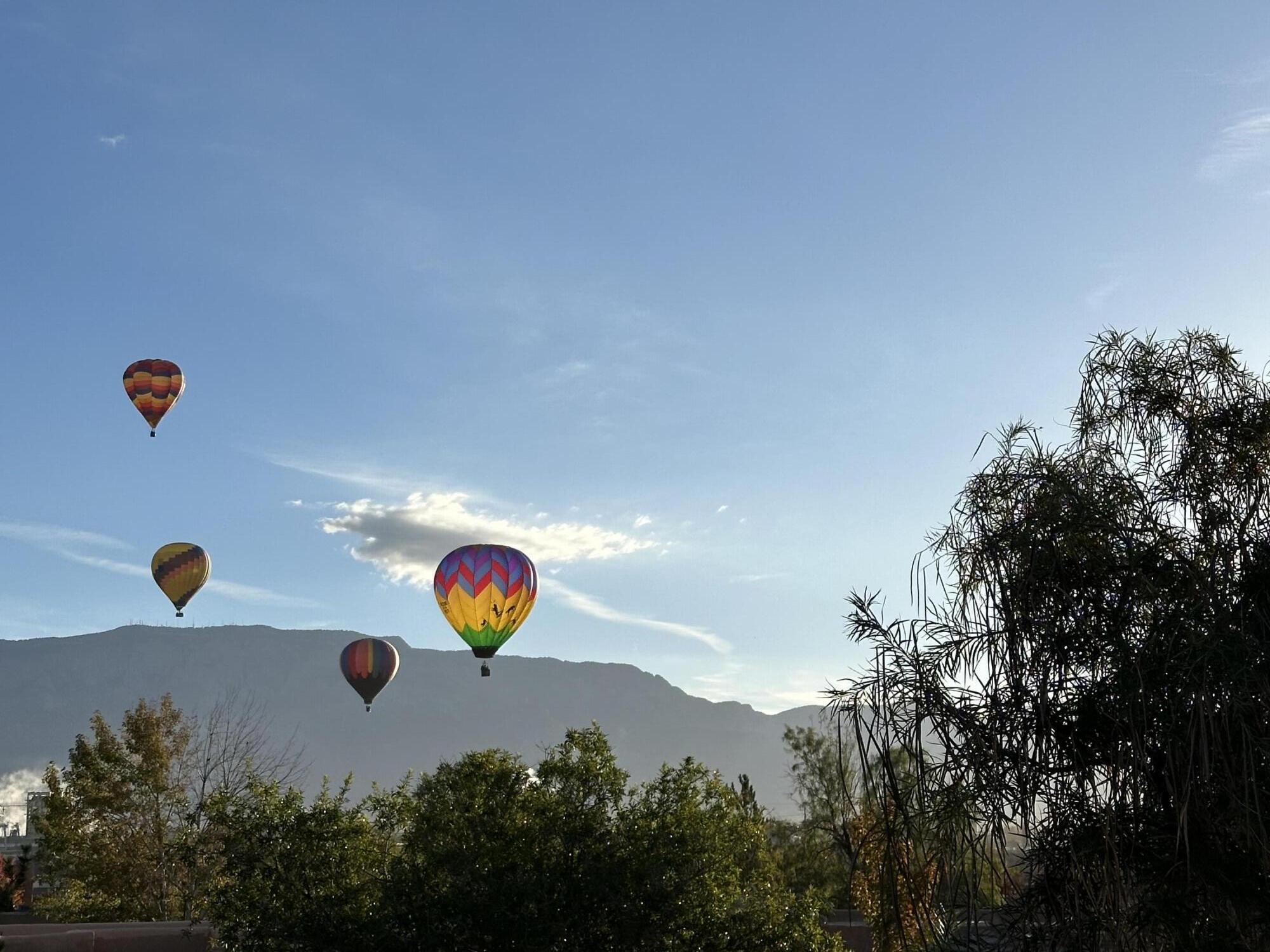 7719 Calle Paraiso NE