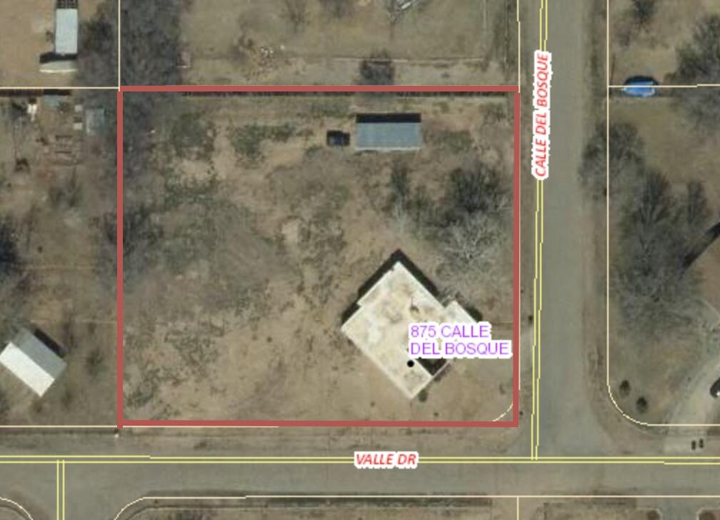 875 Calle De Bosque