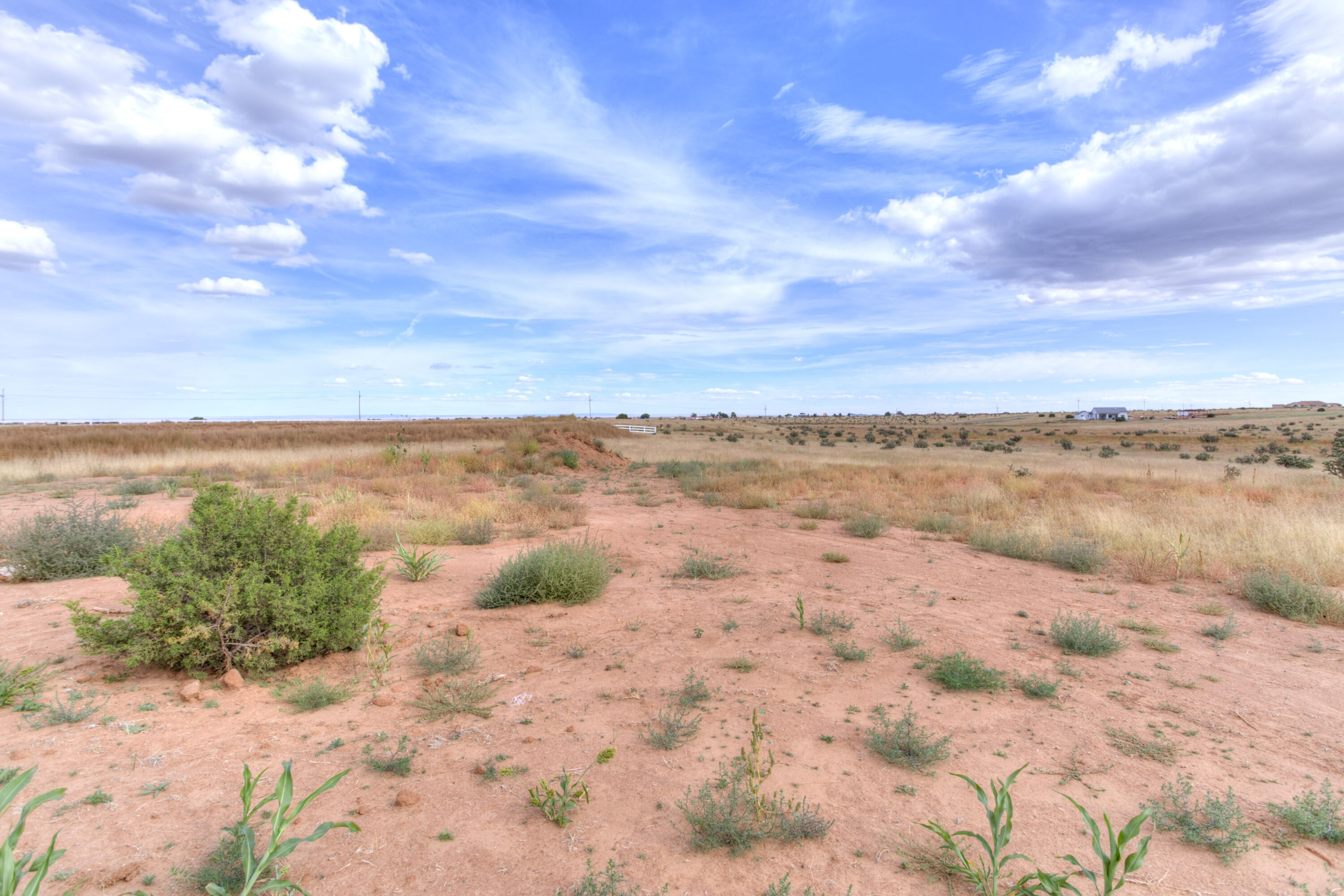 46 Equestrian Park Road