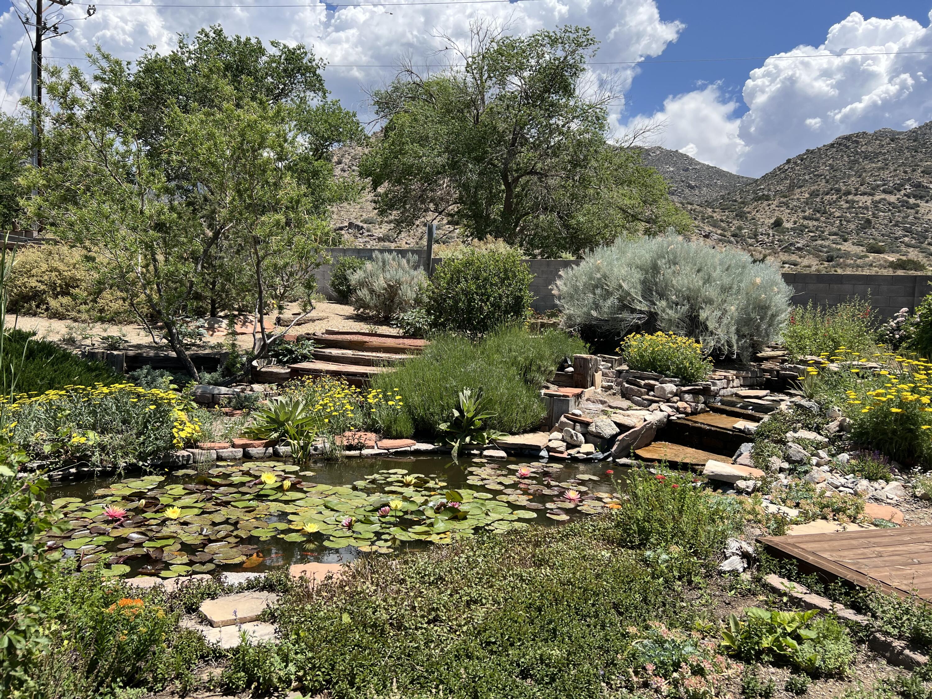 800 Oro Real Drive NE