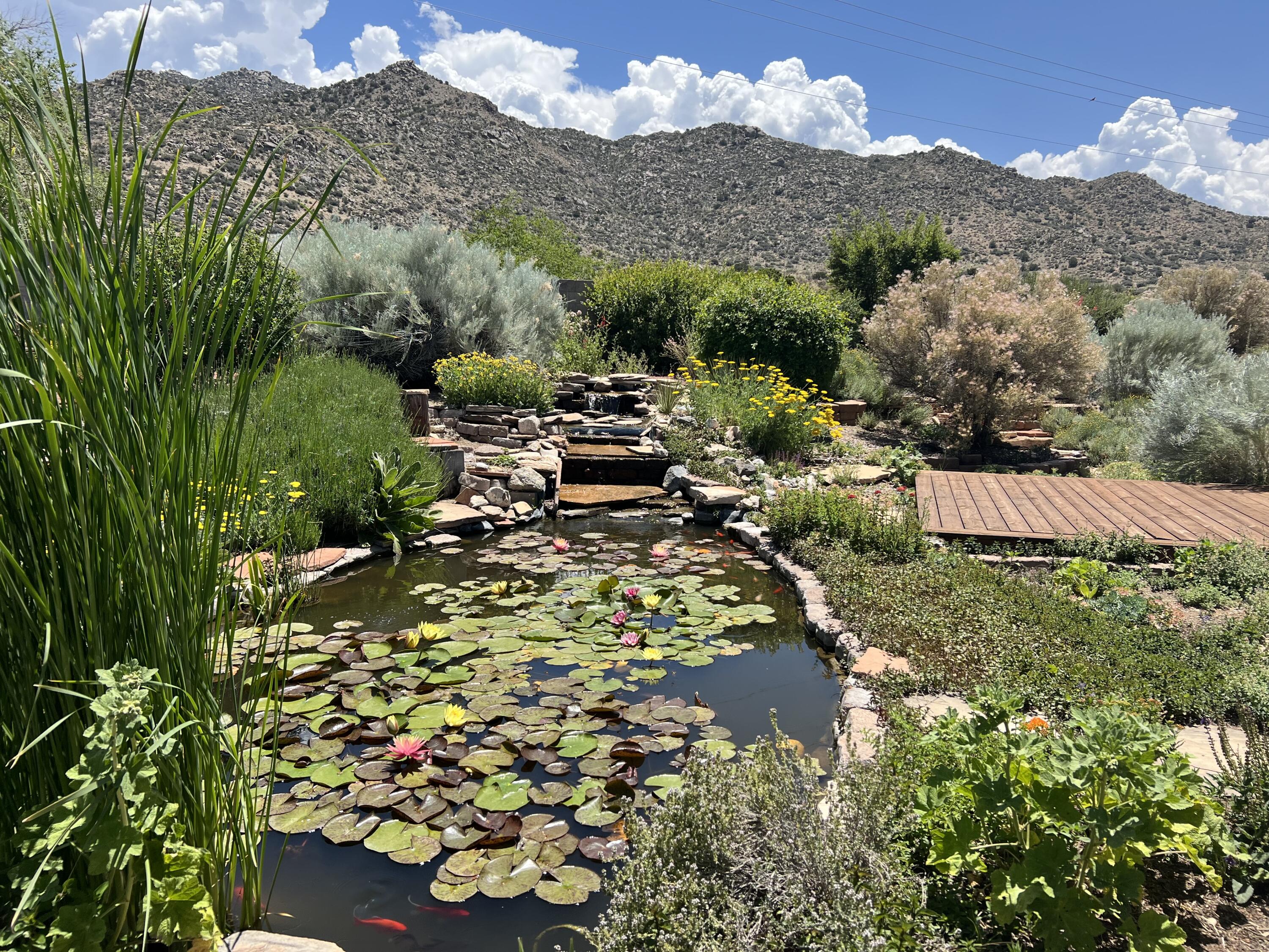 800 Oro Real Drive NE