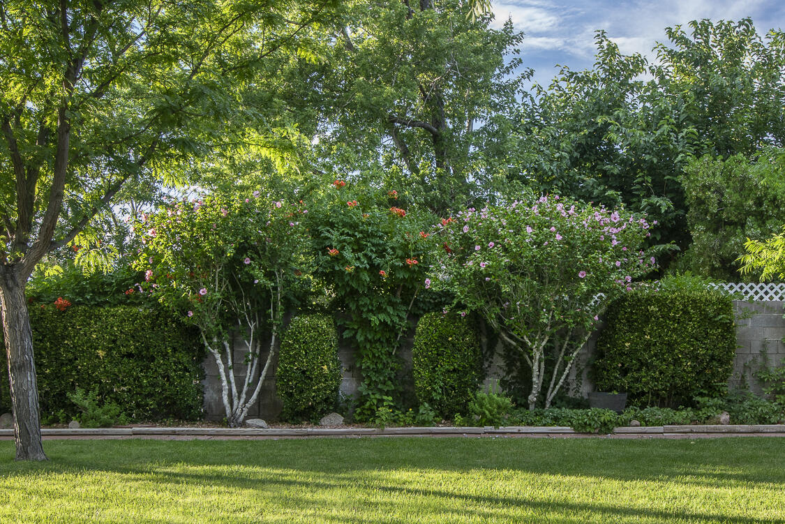 6605 Luella Anne Drive NE