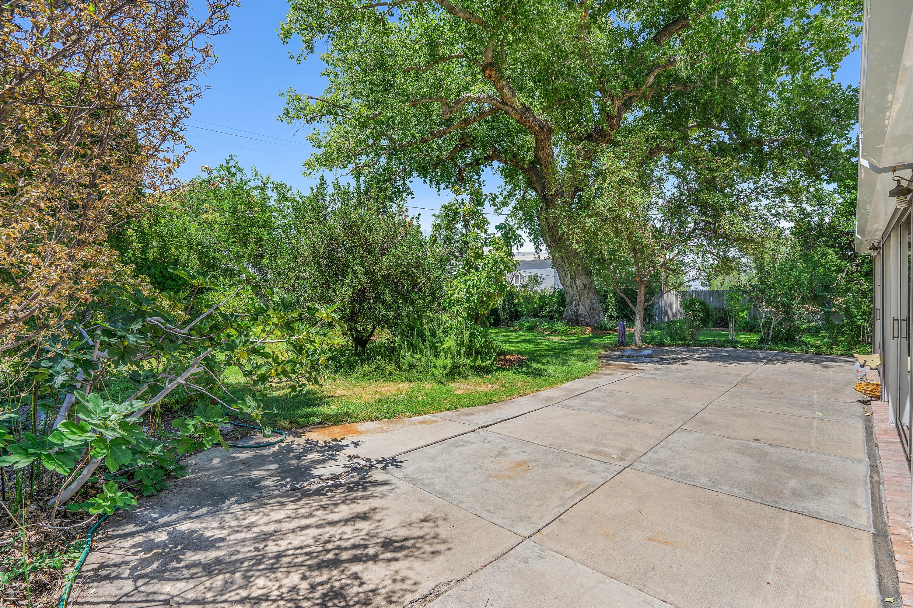 317 Hermosa Drive SE