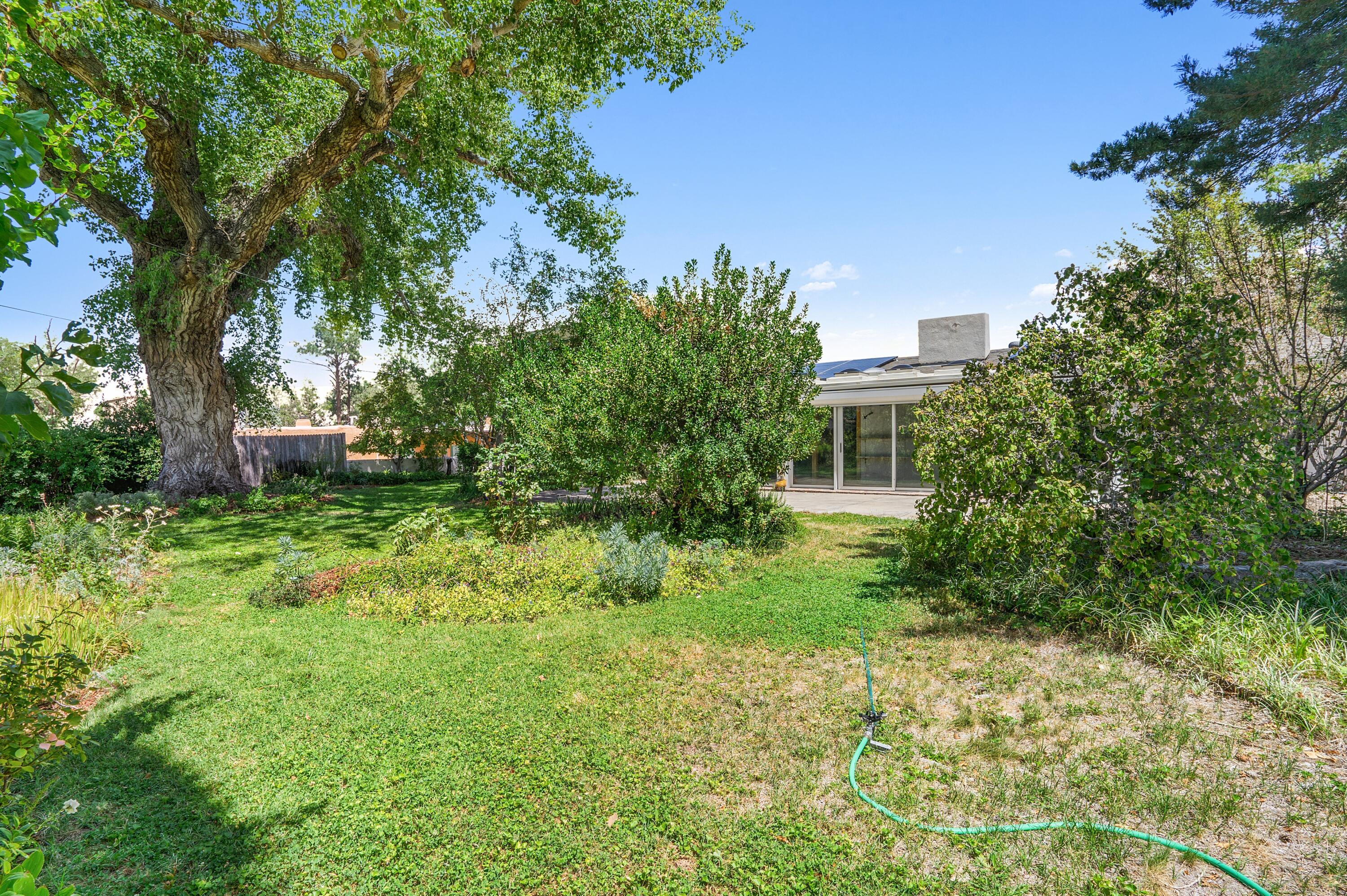 317 Hermosa Drive SE