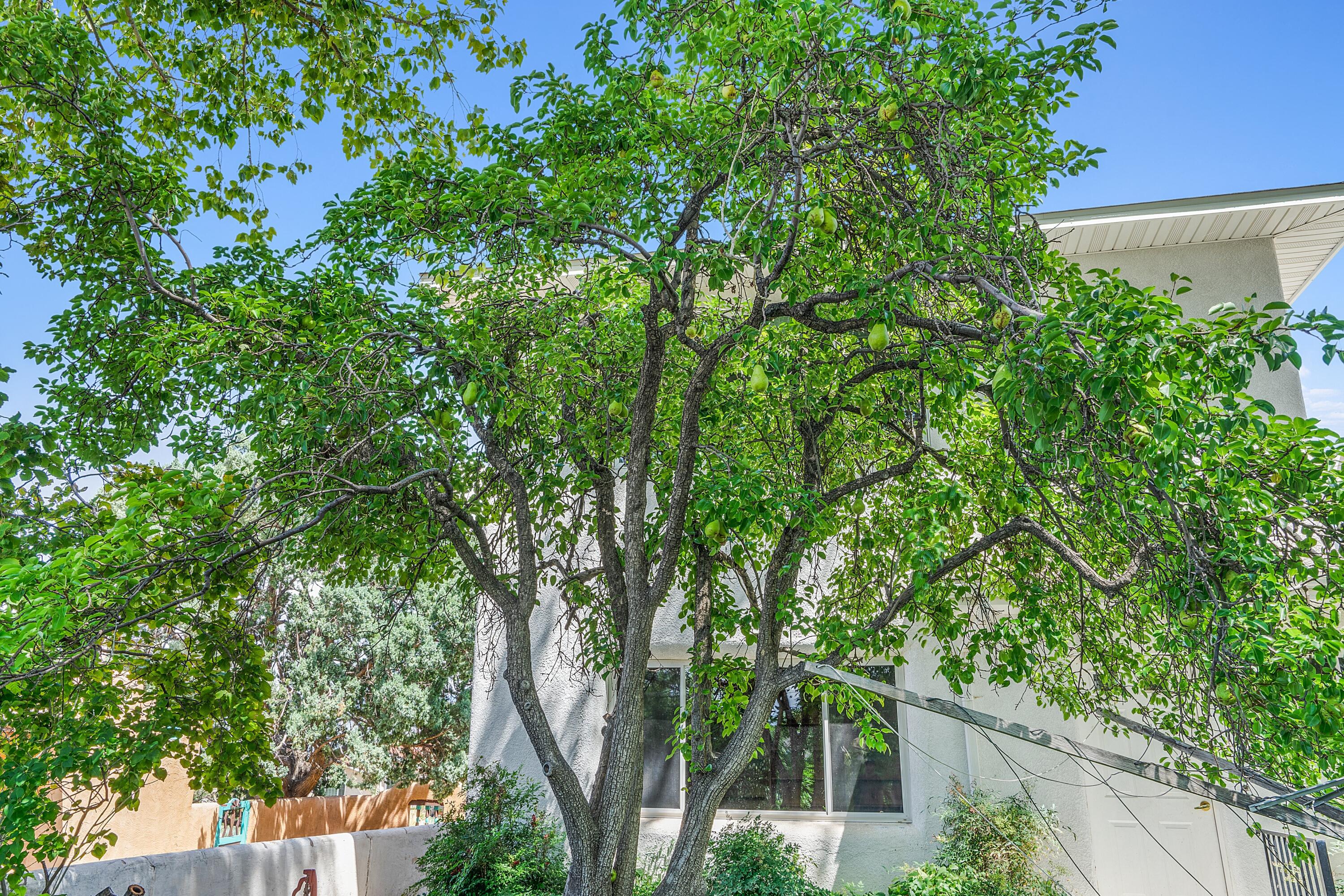 317 Hermosa Drive SE