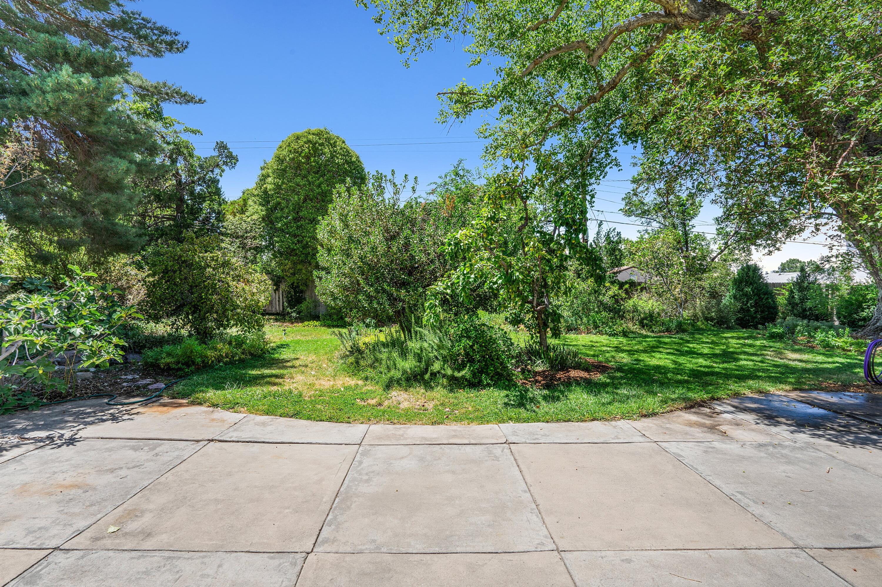 317 Hermosa Drive SE