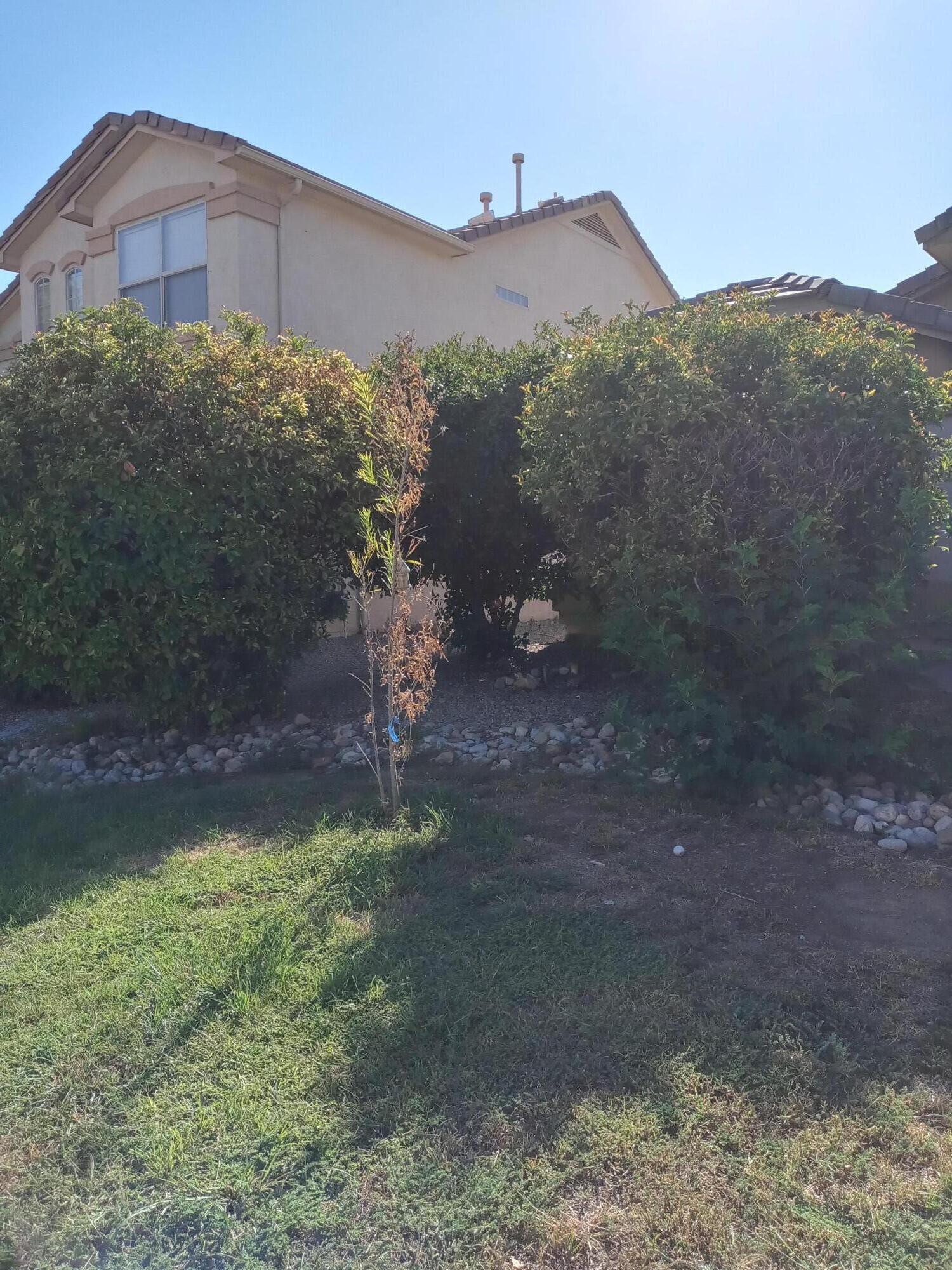 1428 DANZANTE Drive SE