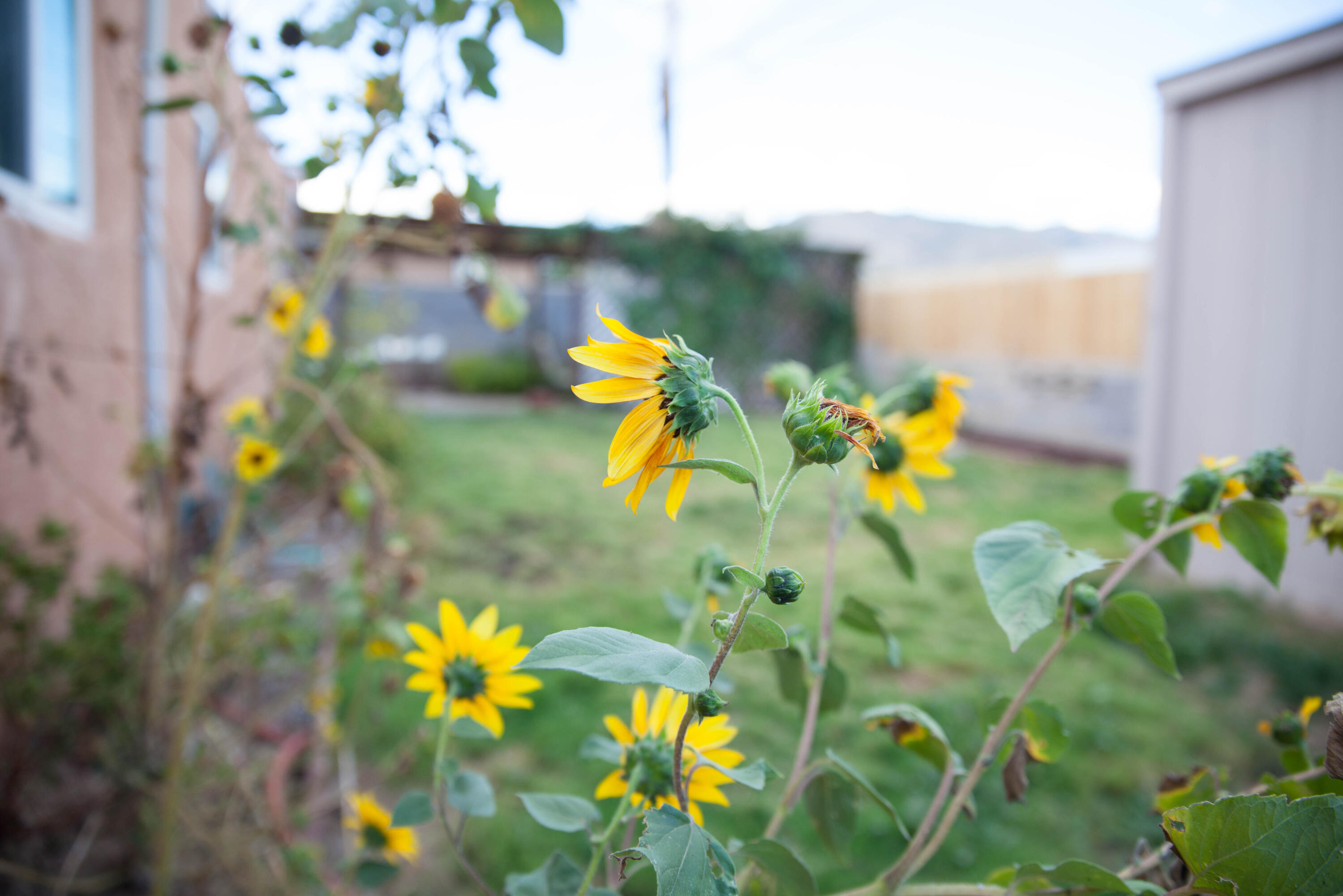 11004 WOODLAND Avenue NE