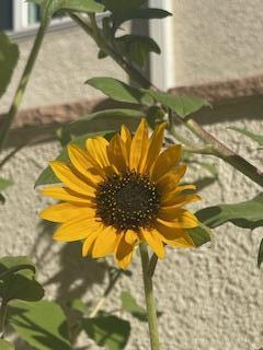 1505 MONTE LARGO Drive NE