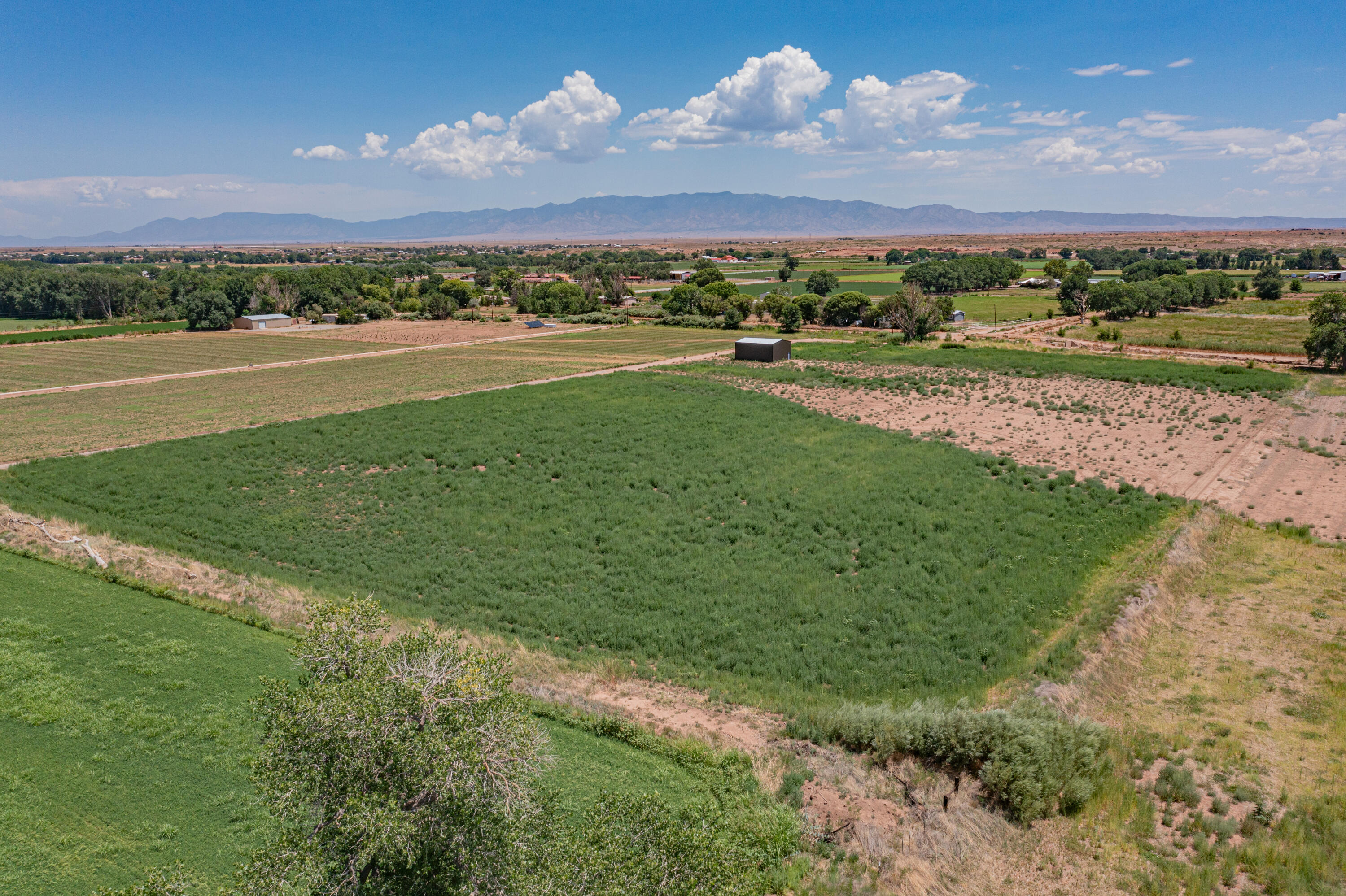 27 Albert Miranda Road