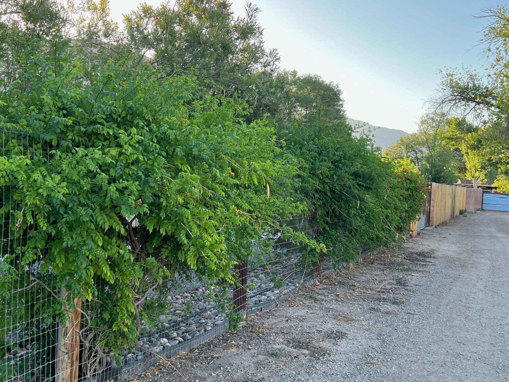 151 MAMA Road