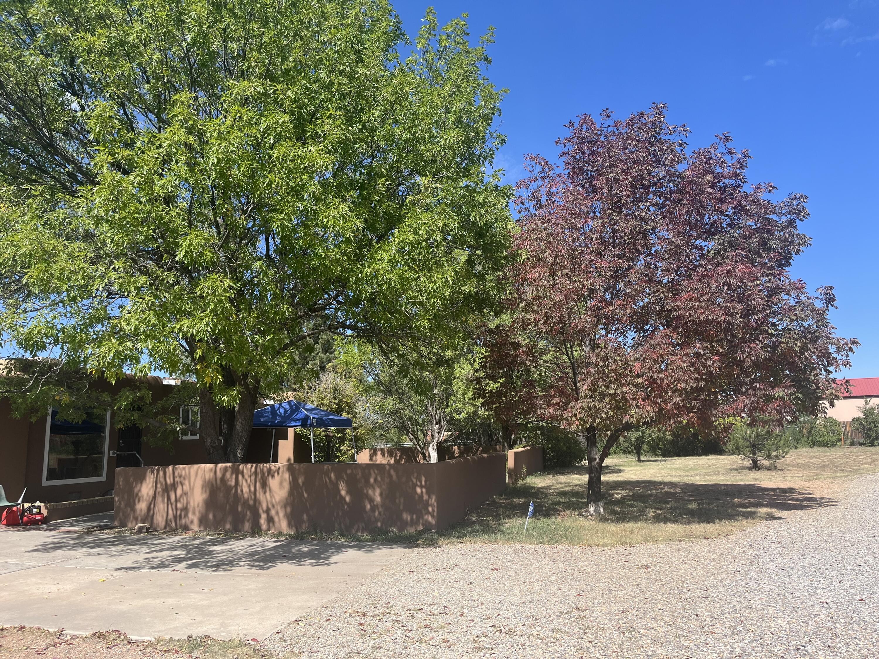 74 Mutt Nelson Road