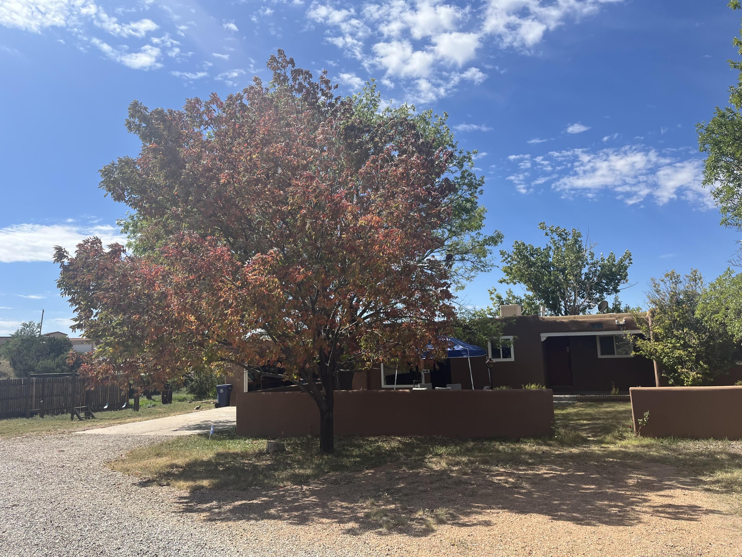 74 Mutt Nelson Road