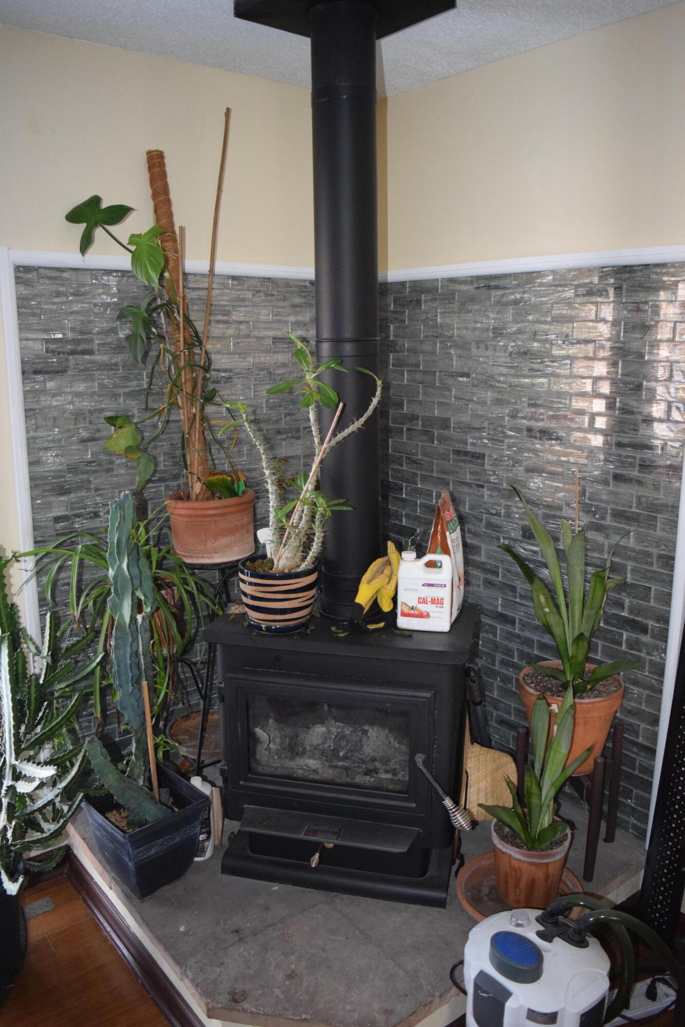 4103 LA MERCED Court SE