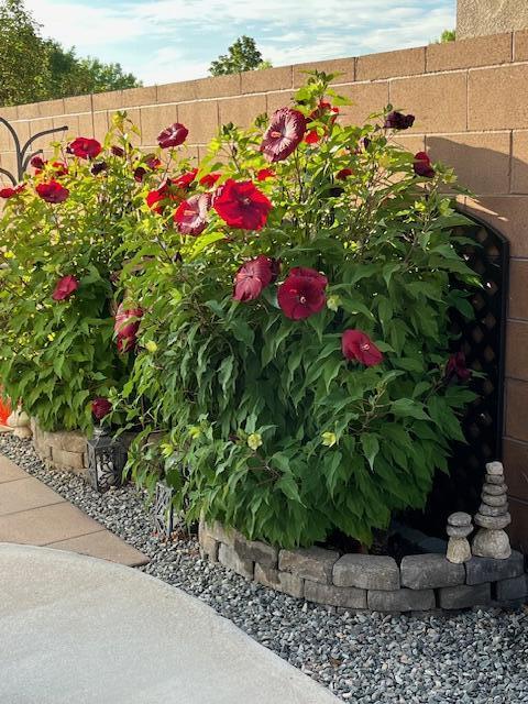 1414 VALLE VISTA Road NW