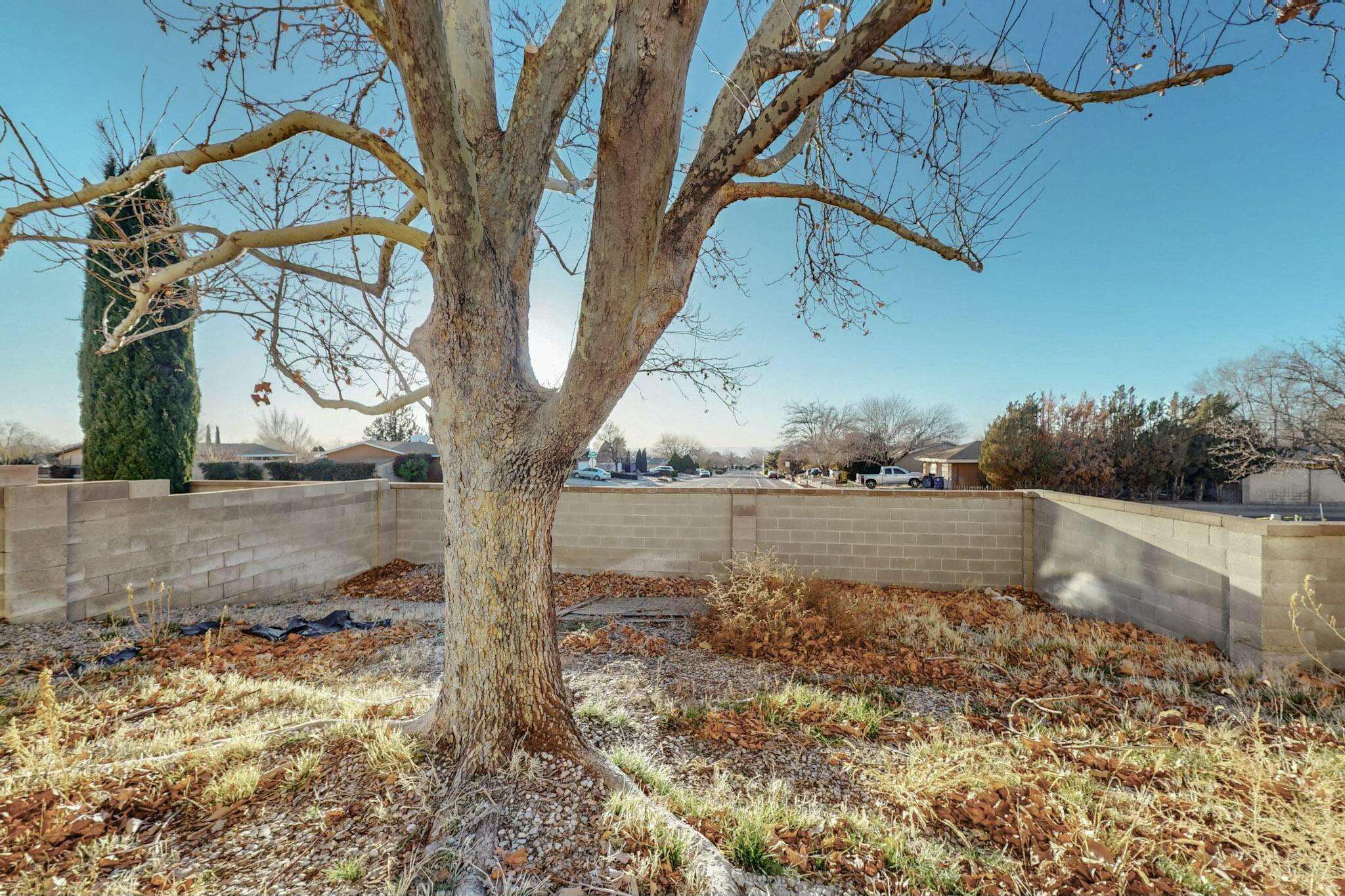 7405 COACHMAN Street NE