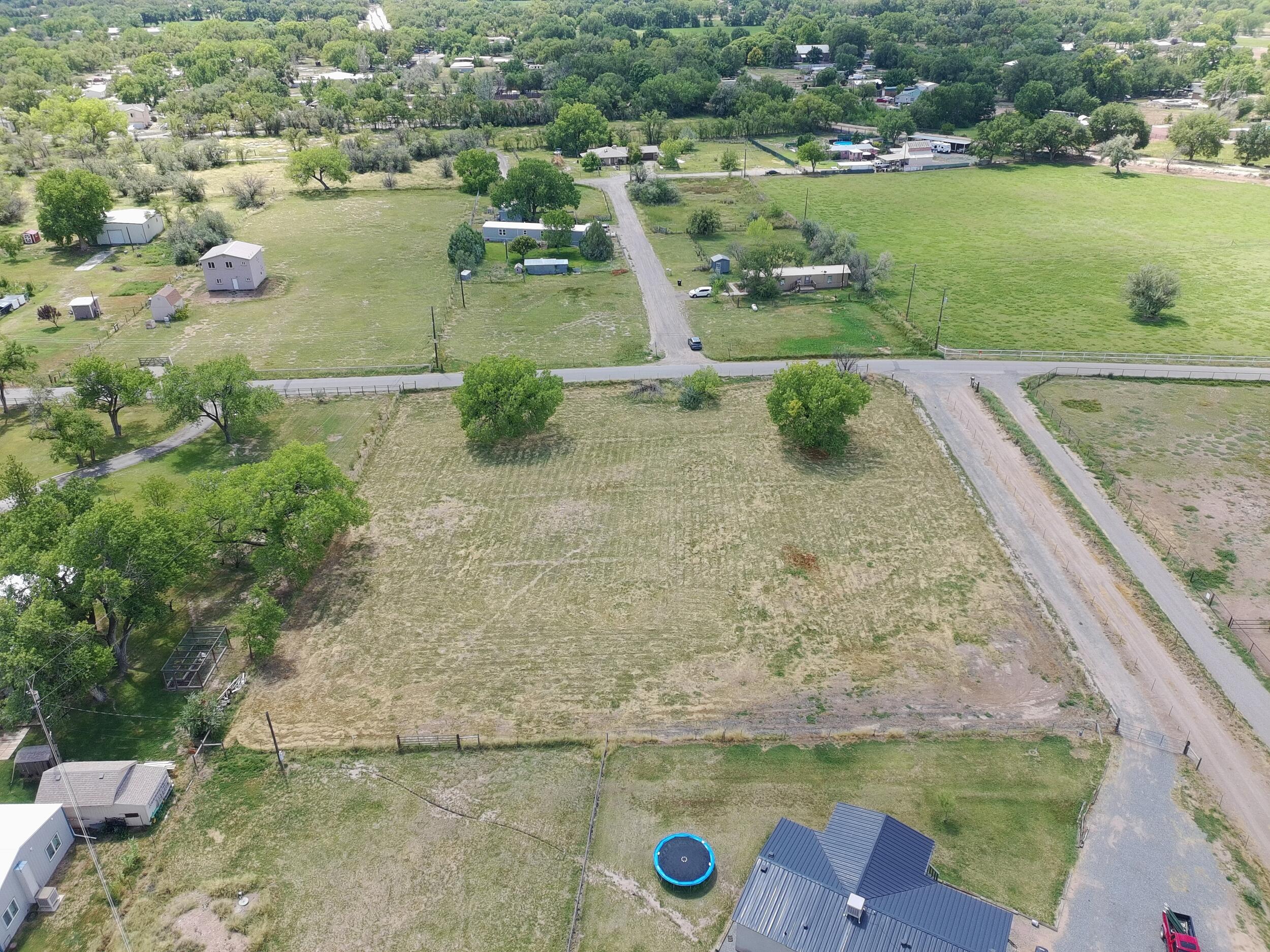 59 SUNFLOWER Lane