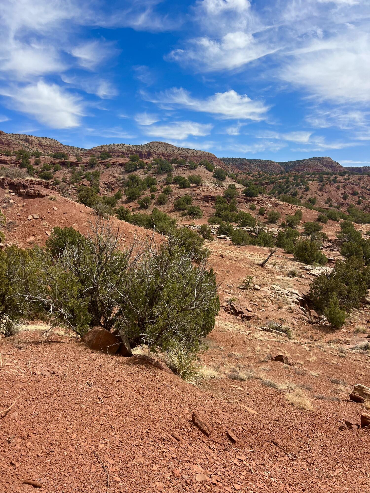 LOT 2C1 , LANDS OF BABCOCK