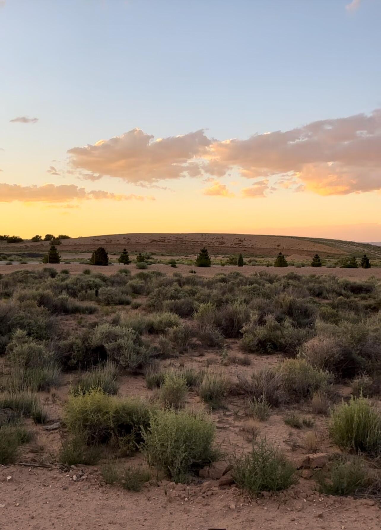 3269 Wolf Tail Loop NE