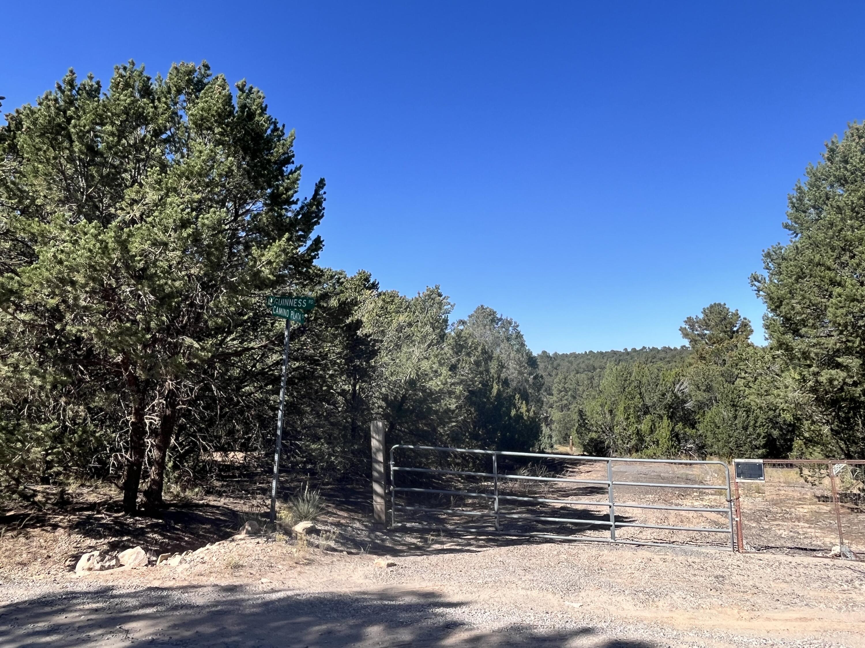 1 CAMINO PLATA Court