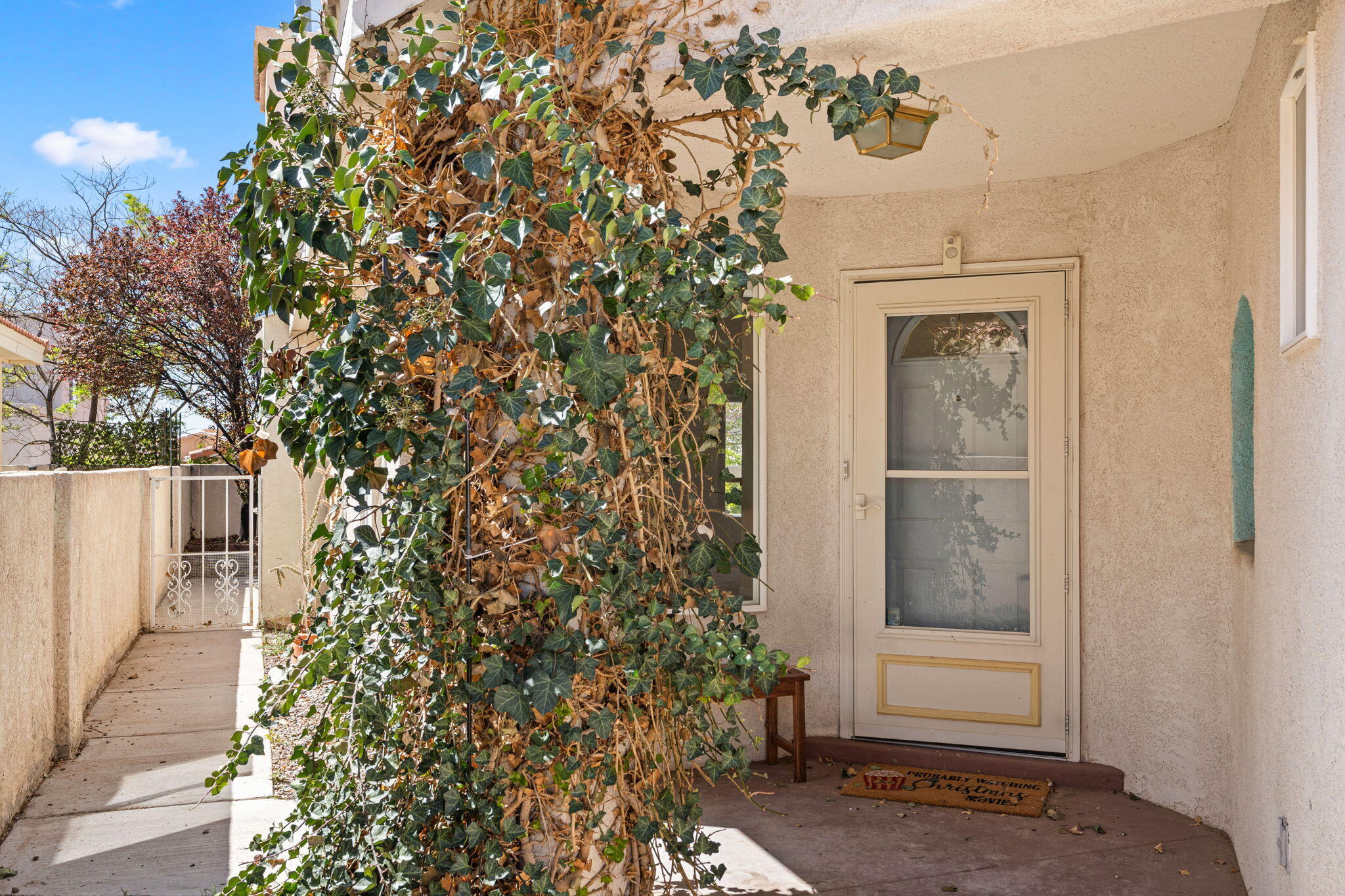 275 CHAPARRAL Loop SE