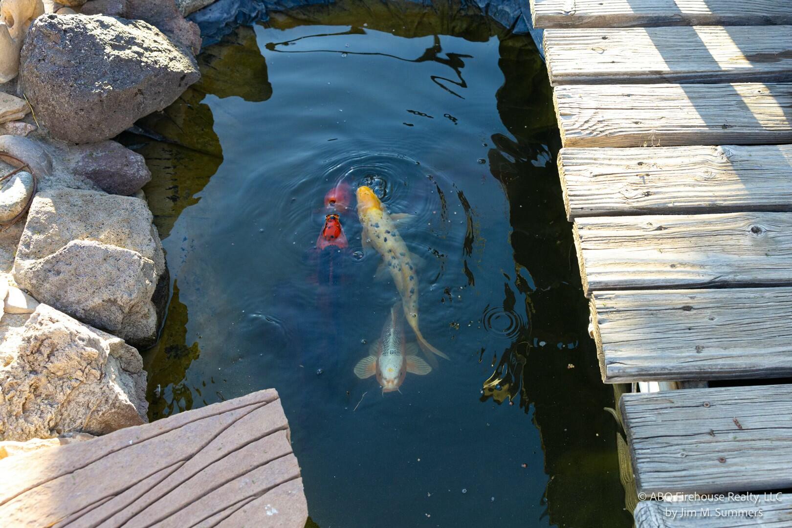 1023 ESPEJO Street NE