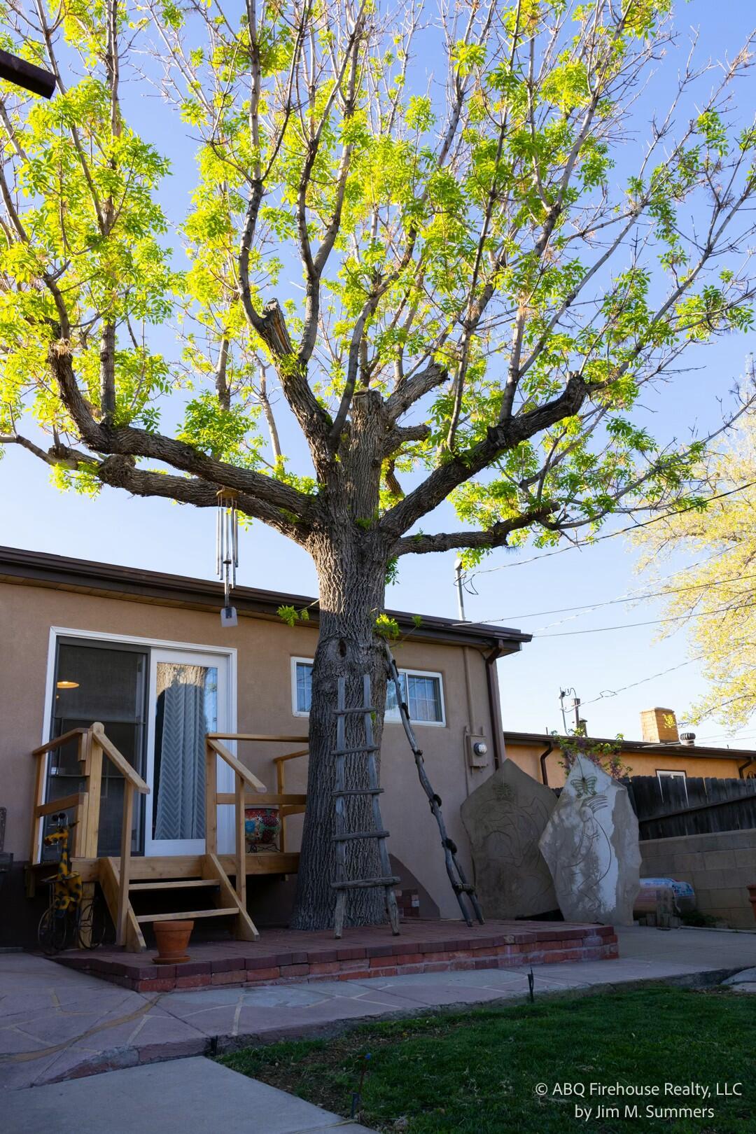 1023 ESPEJO Street NE