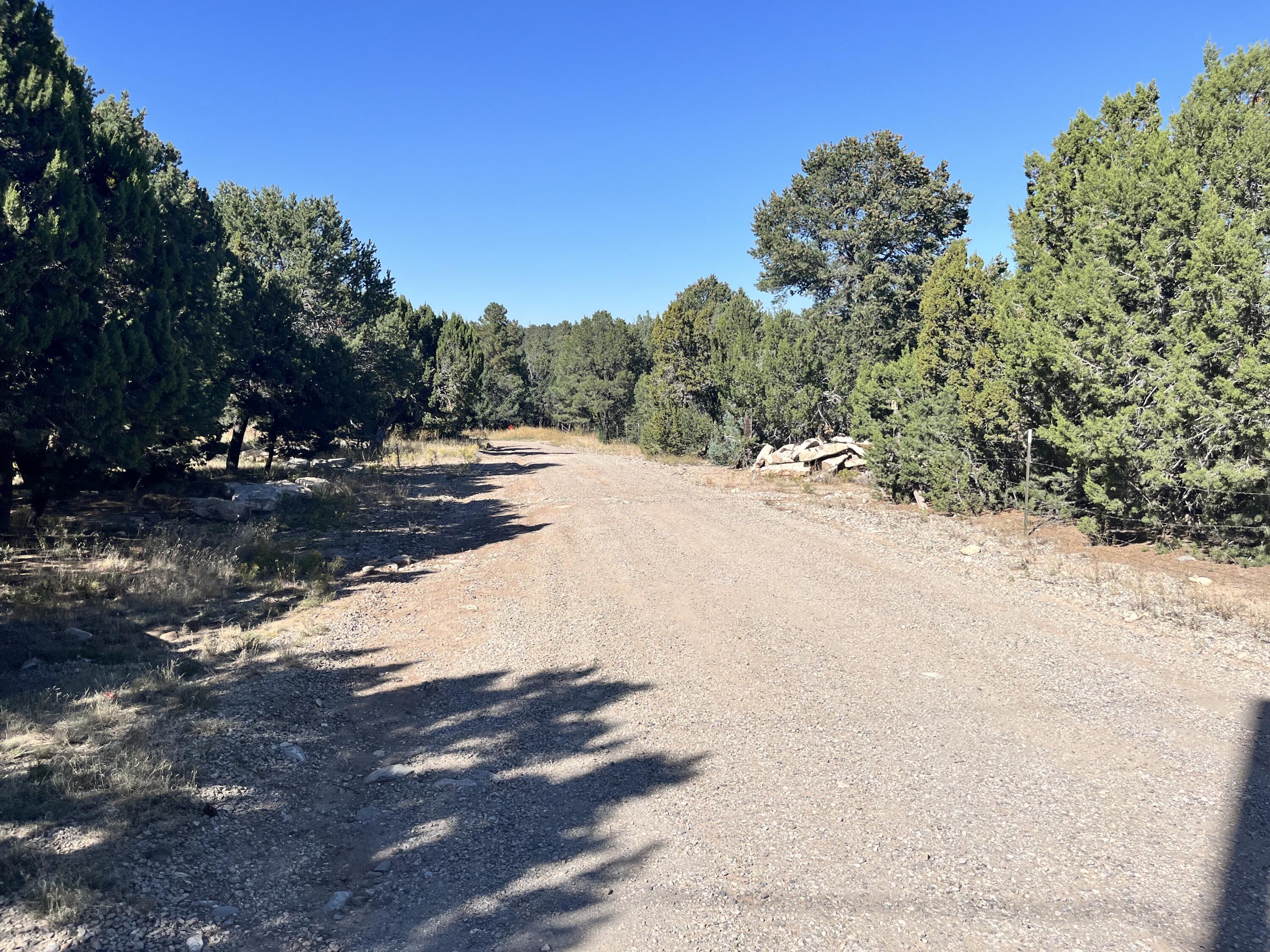 5 CAMINO PLATA Court