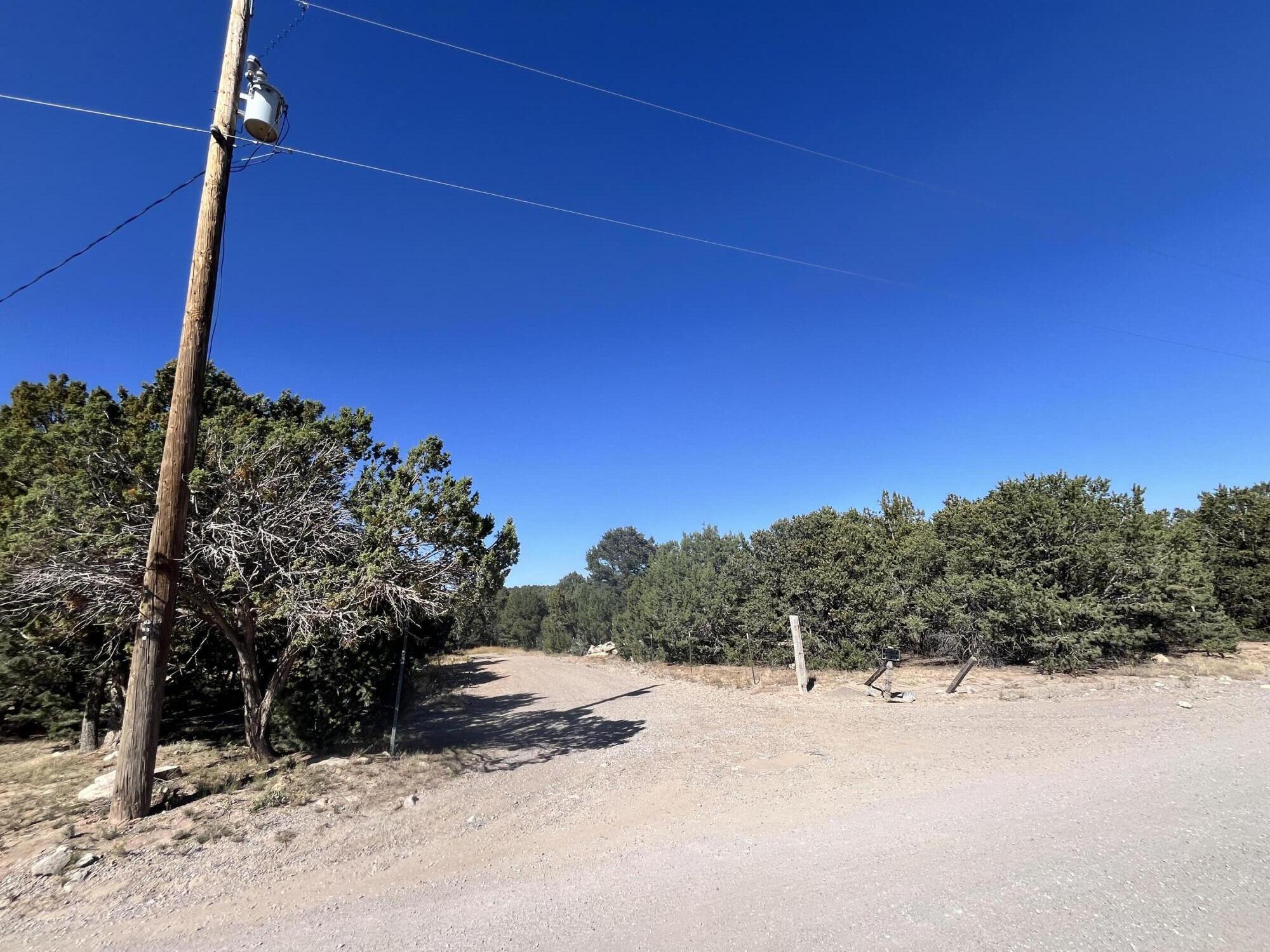 5 CAMINO PLATA Court