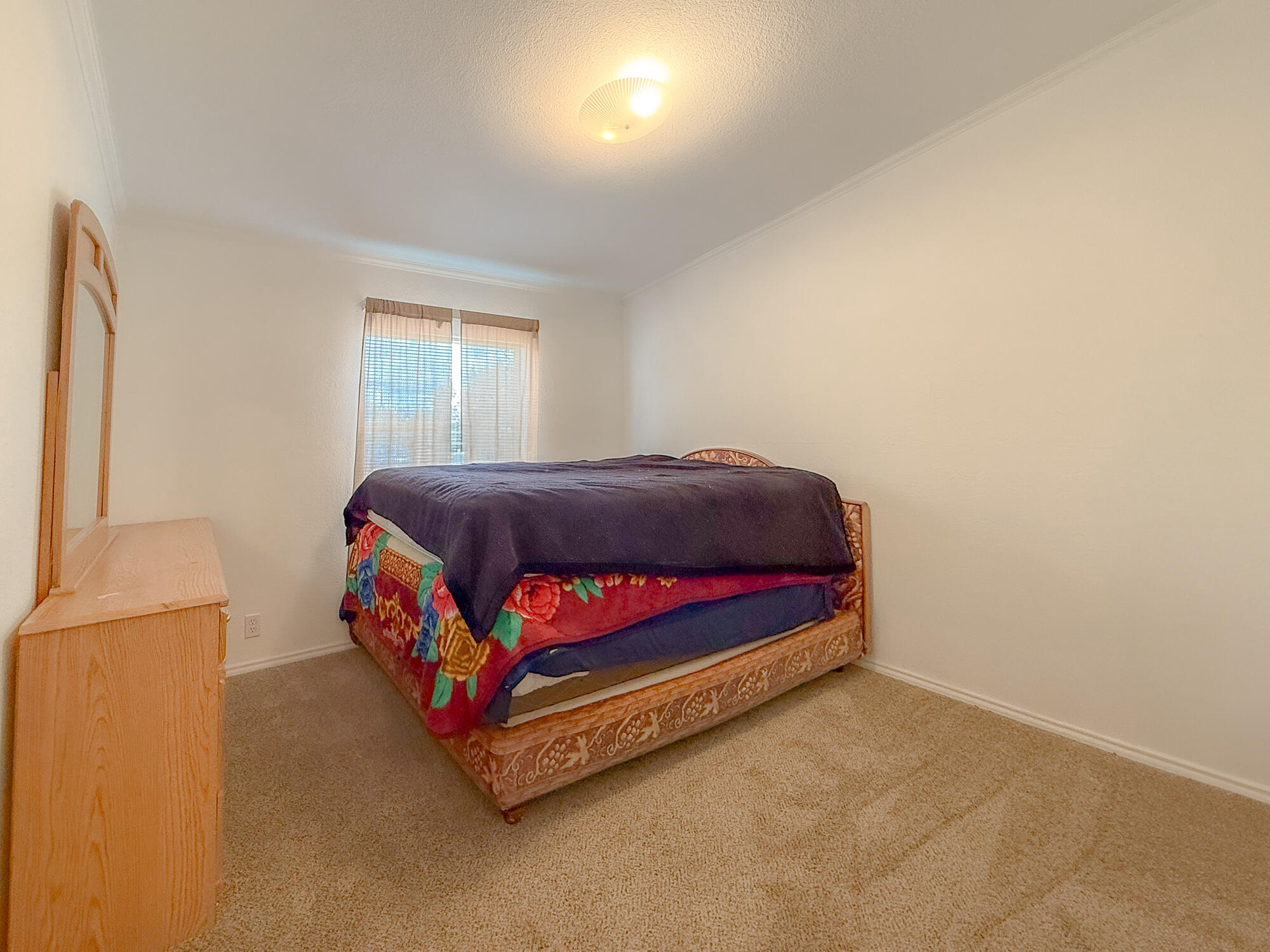 36 Camino Real Loop