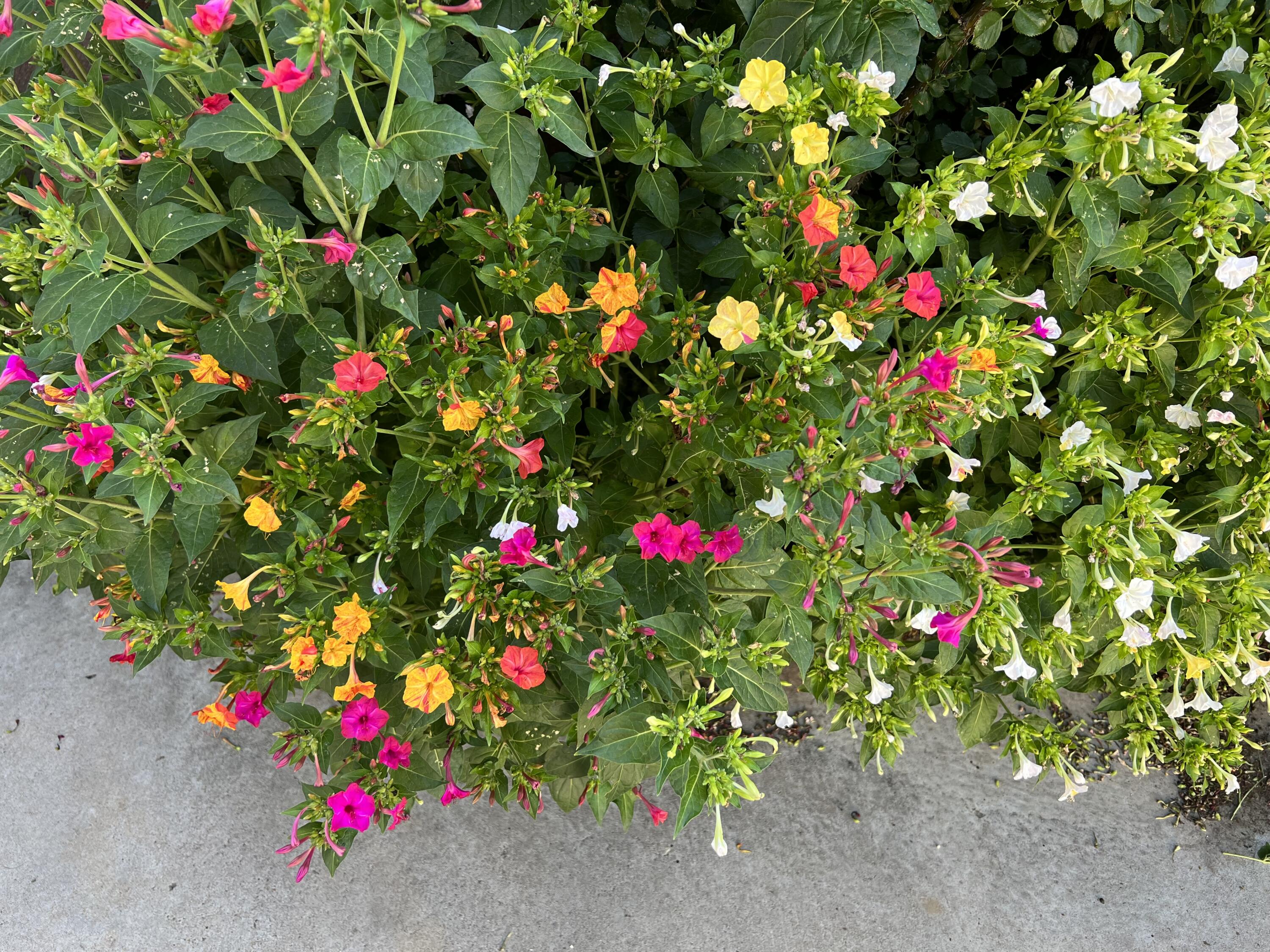 9722 APACHE Avenue NE