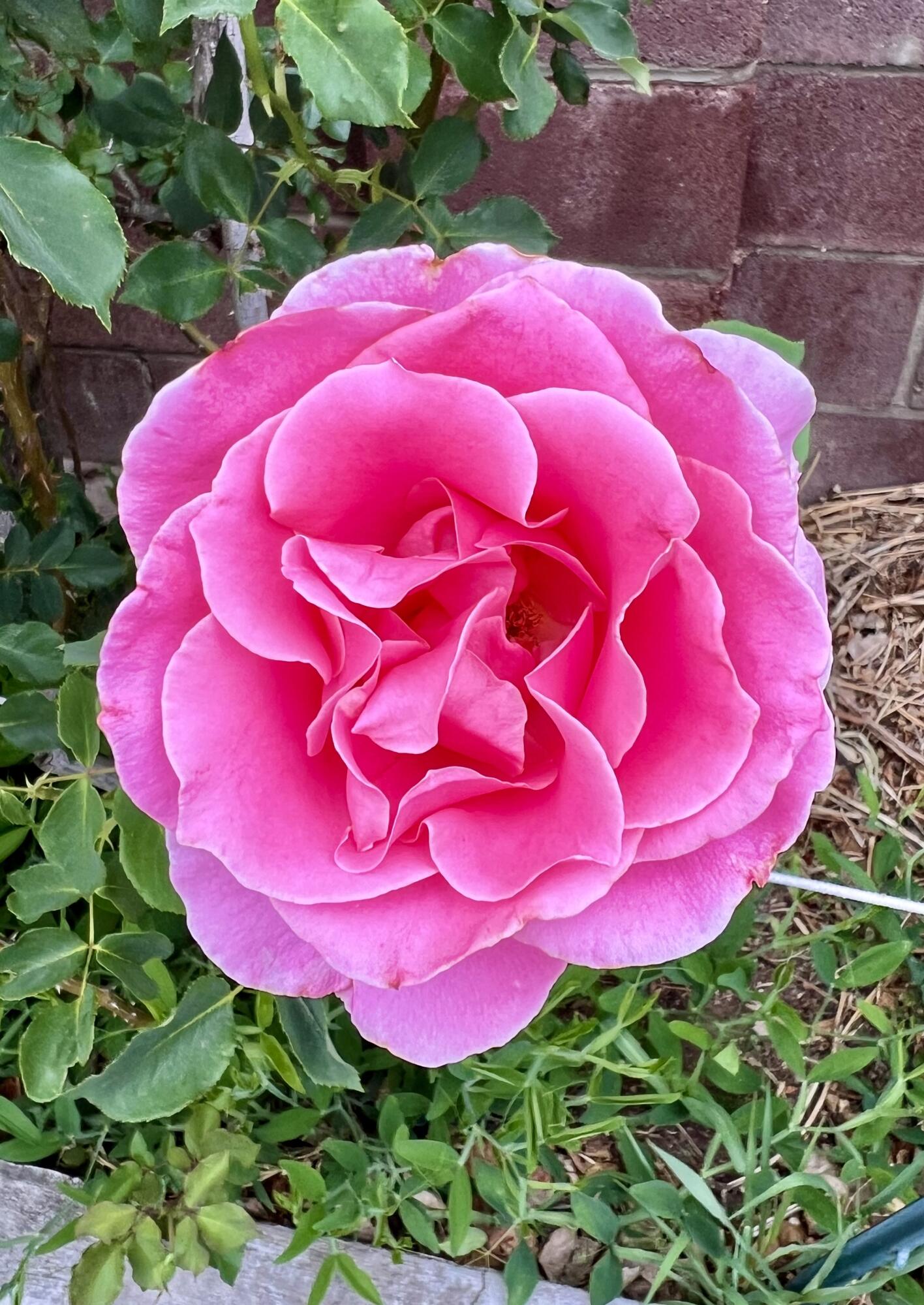 9722 APACHE Avenue NE