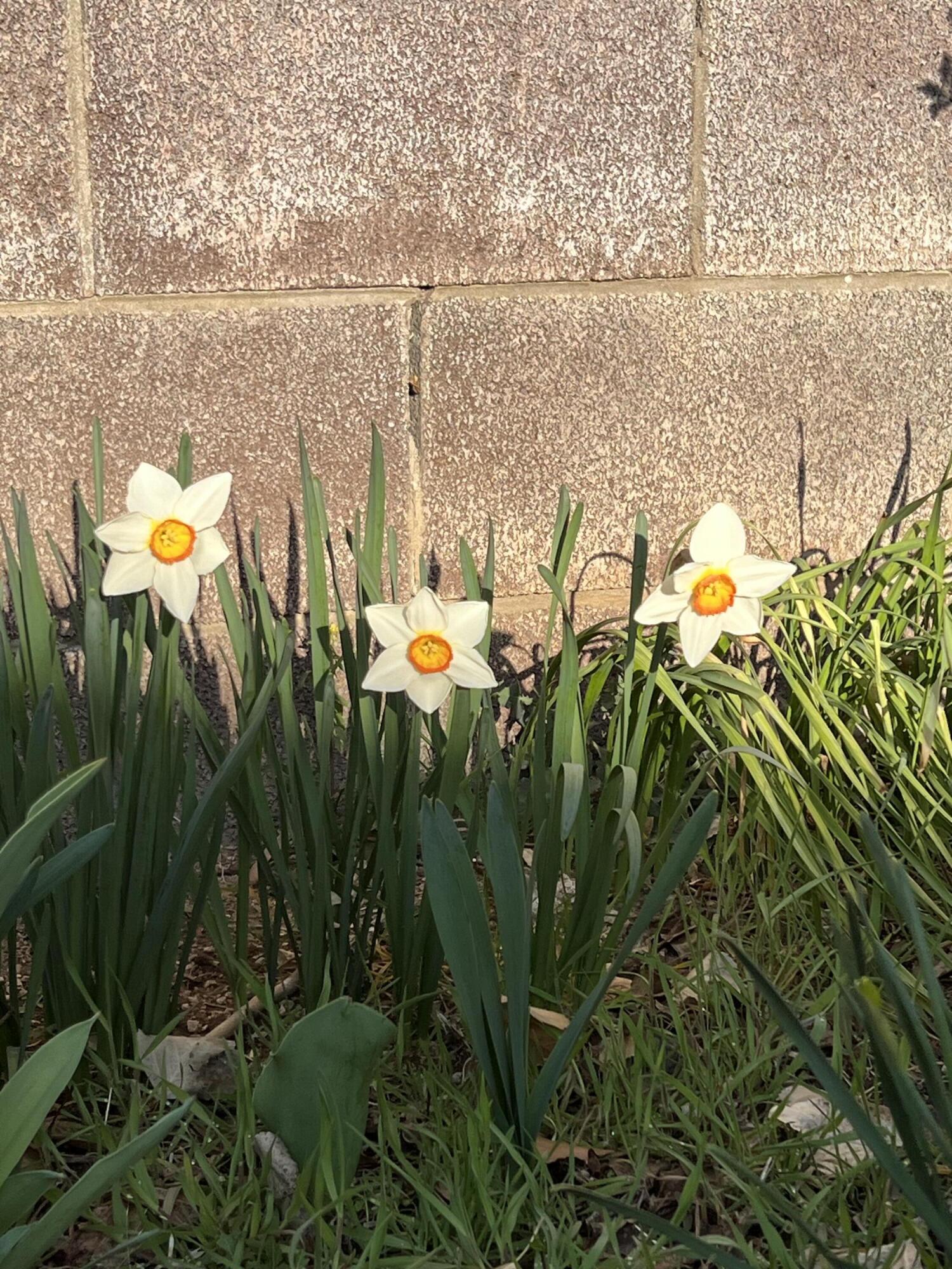 9722 APACHE Avenue NE