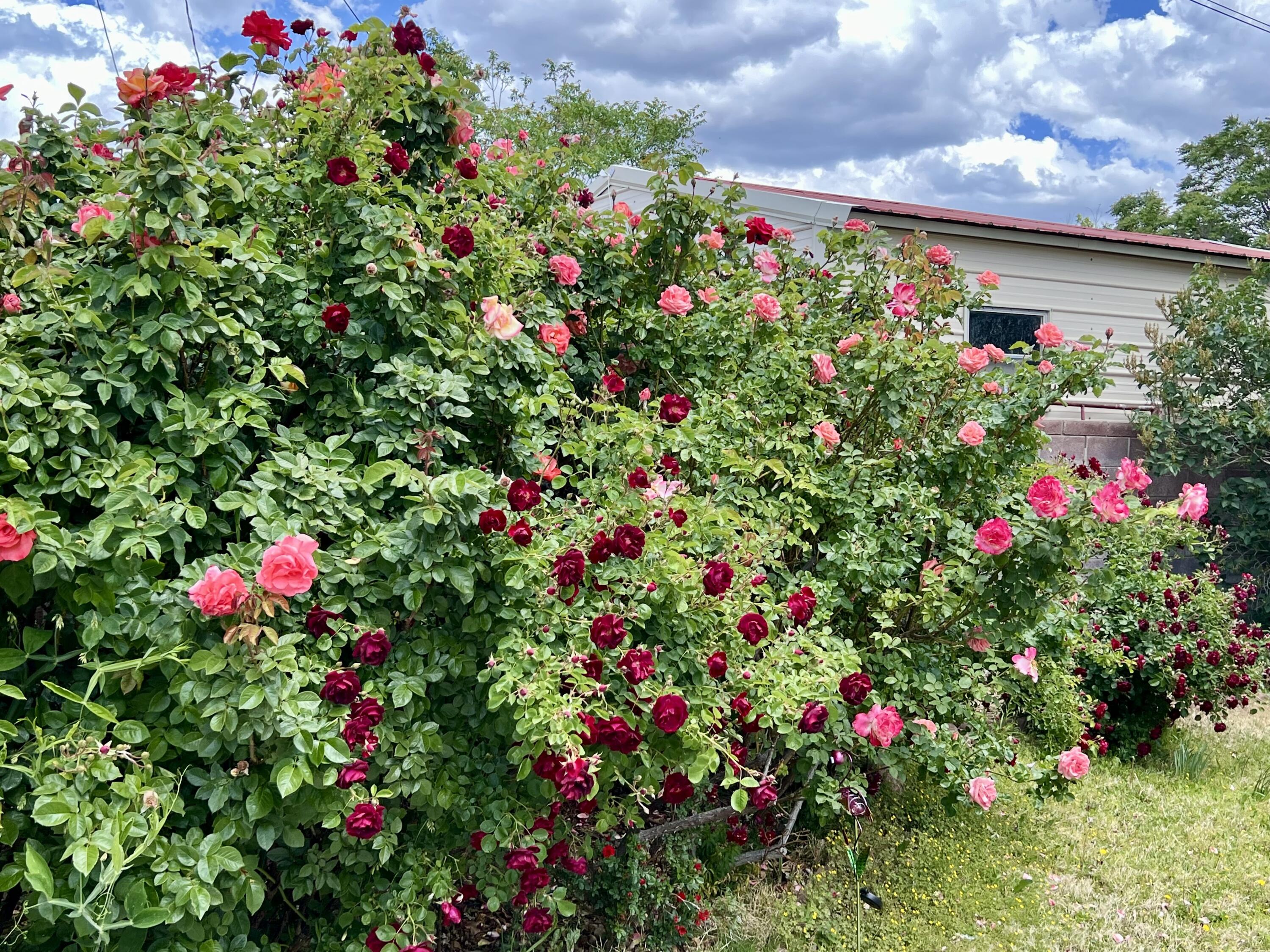 9722 APACHE Avenue NE