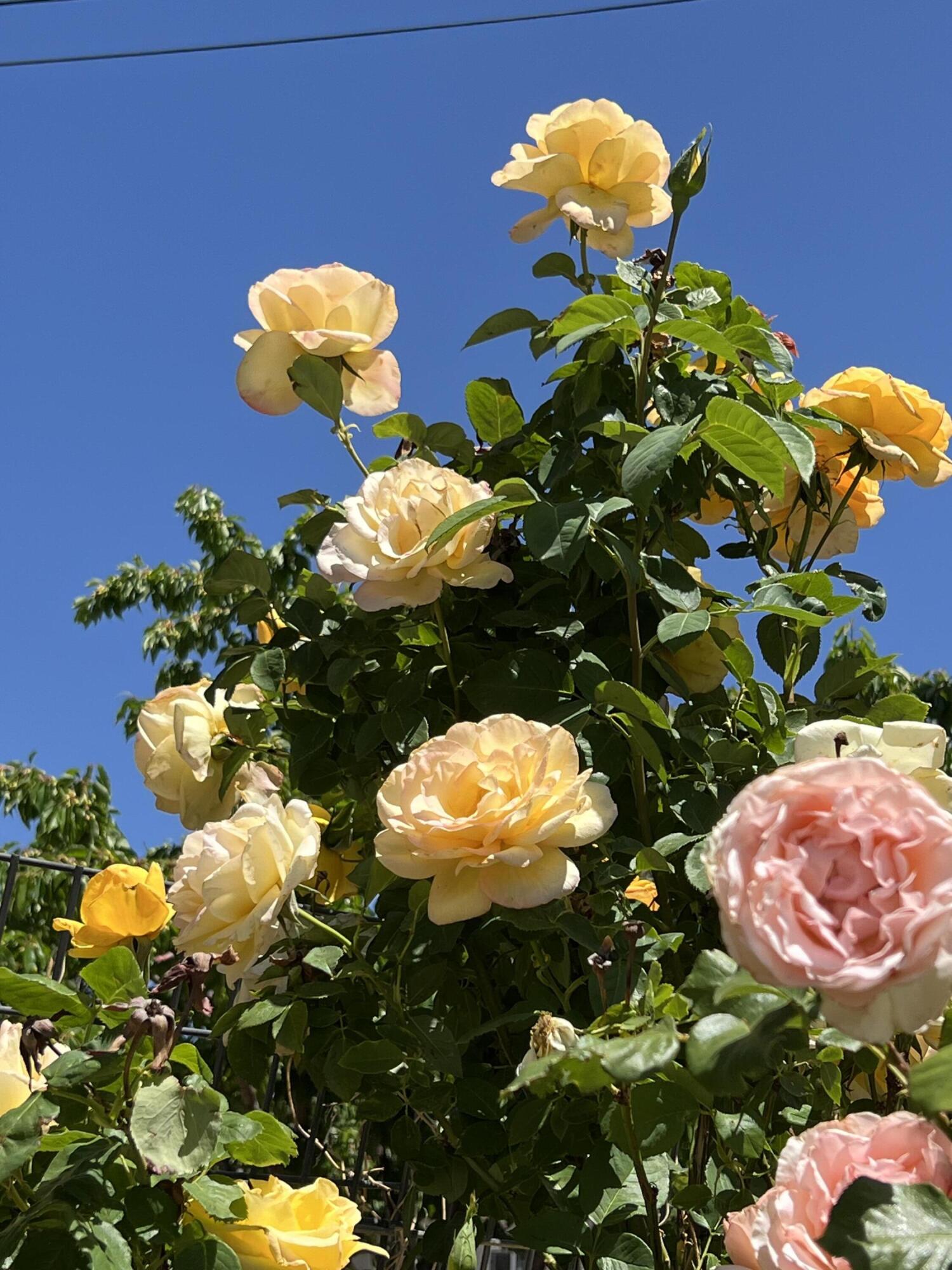 9722 APACHE Avenue NE