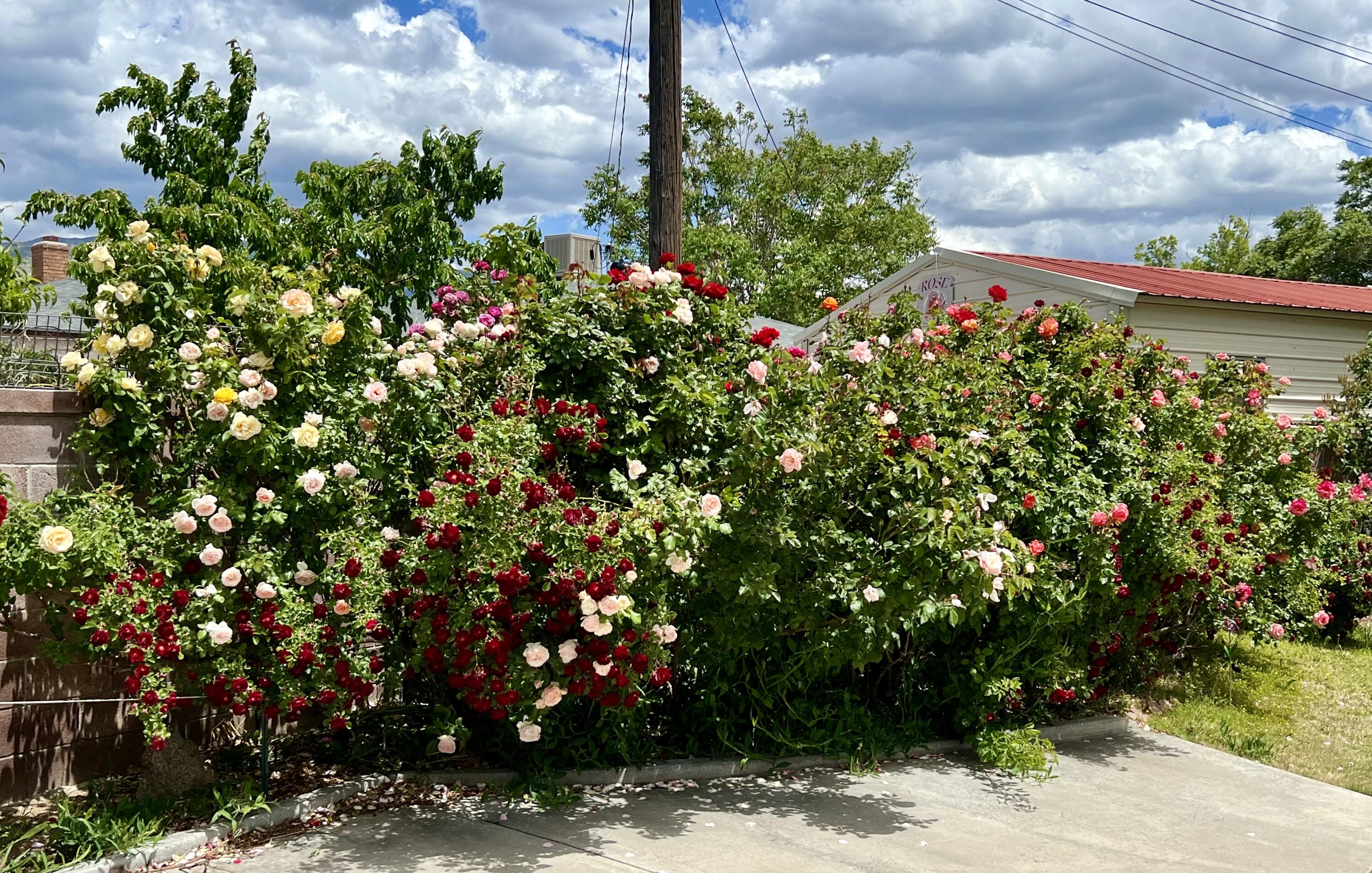 9722 APACHE Avenue NE