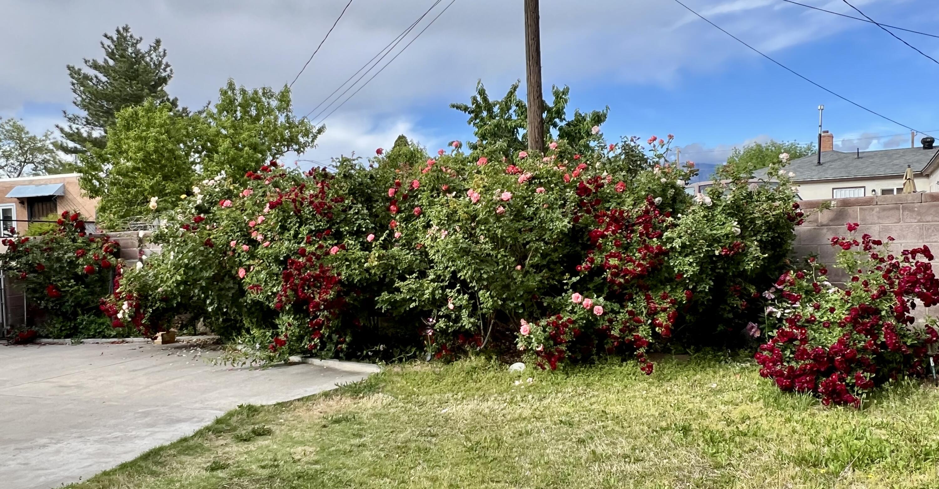 9722 APACHE Avenue NE