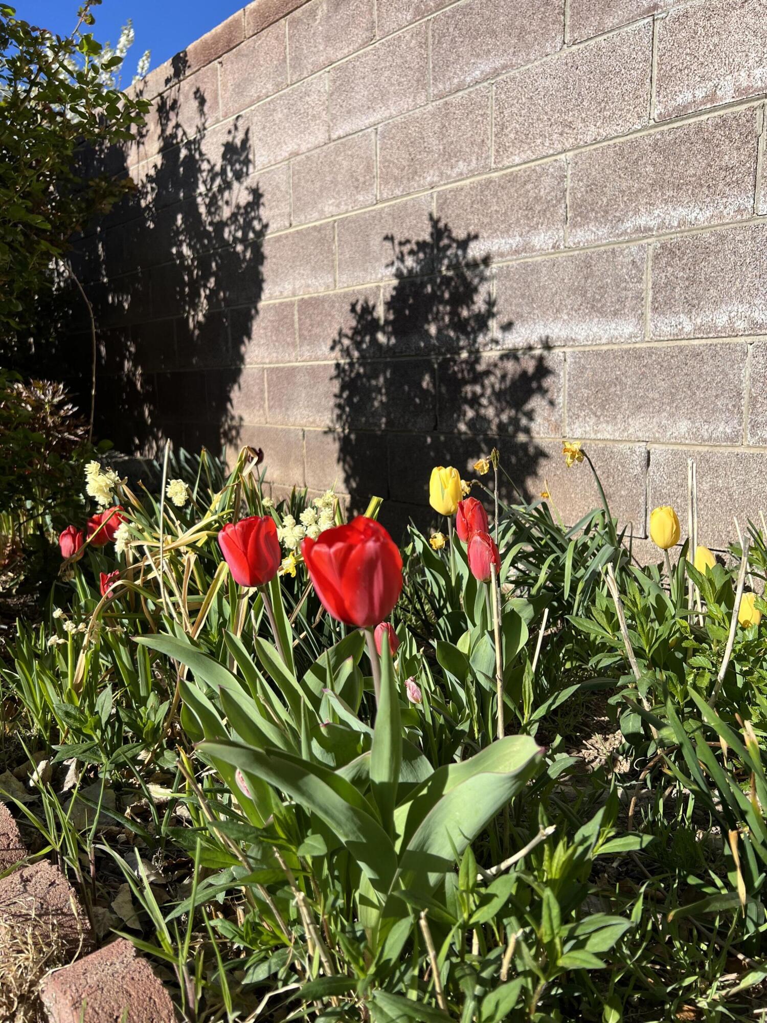 9722 APACHE Avenue NE