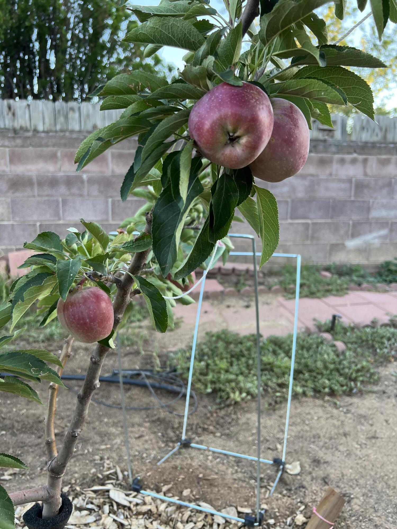 9722 APACHE Avenue NE