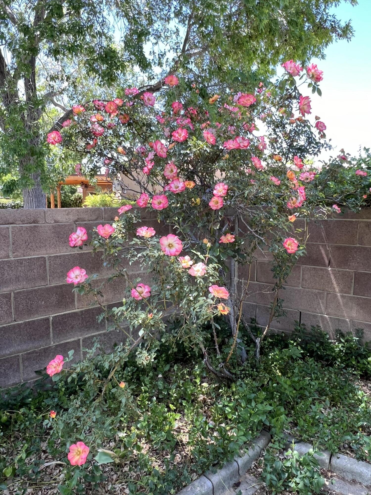 9722 APACHE Avenue NE