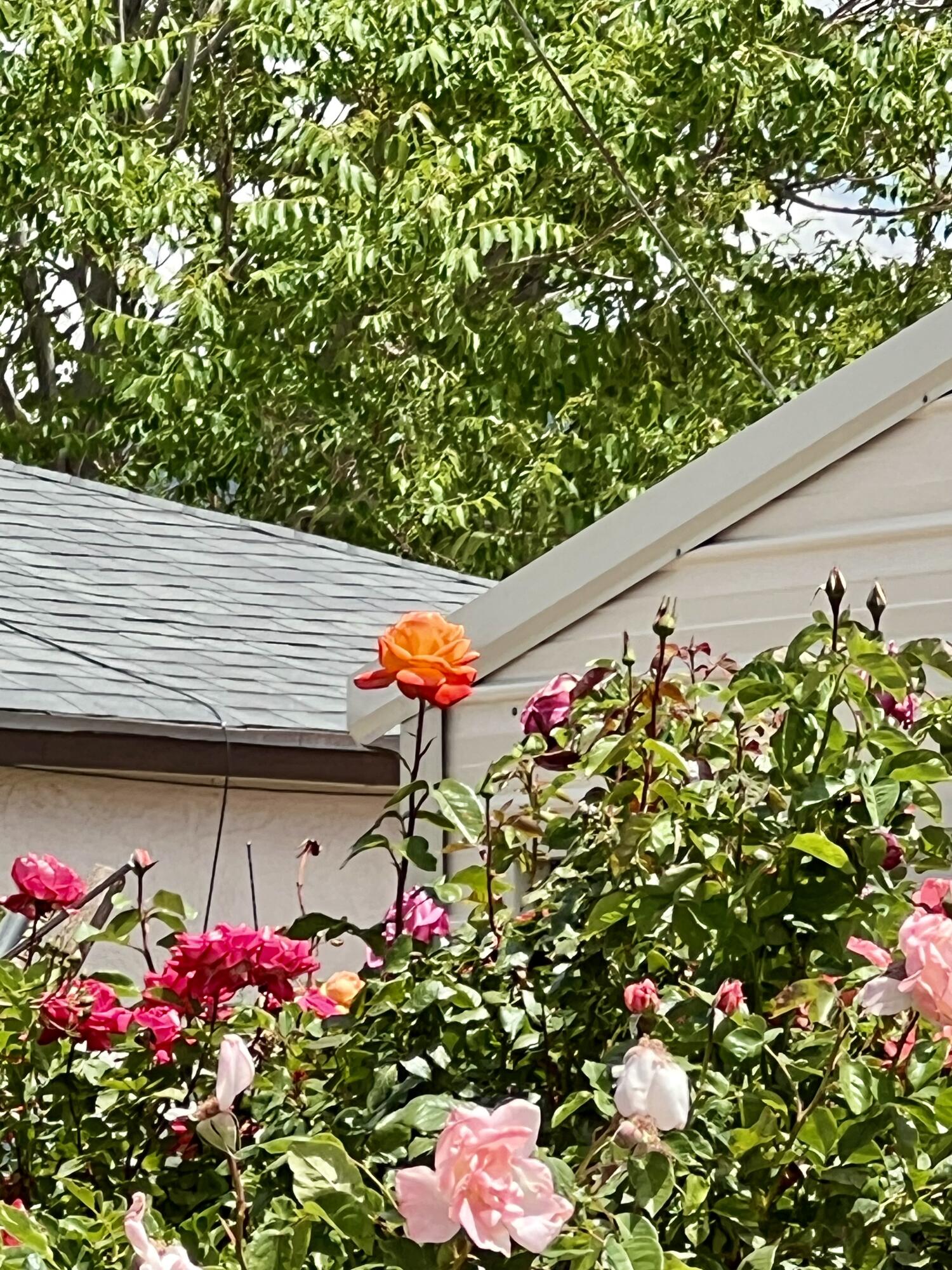 9722 APACHE Avenue NE