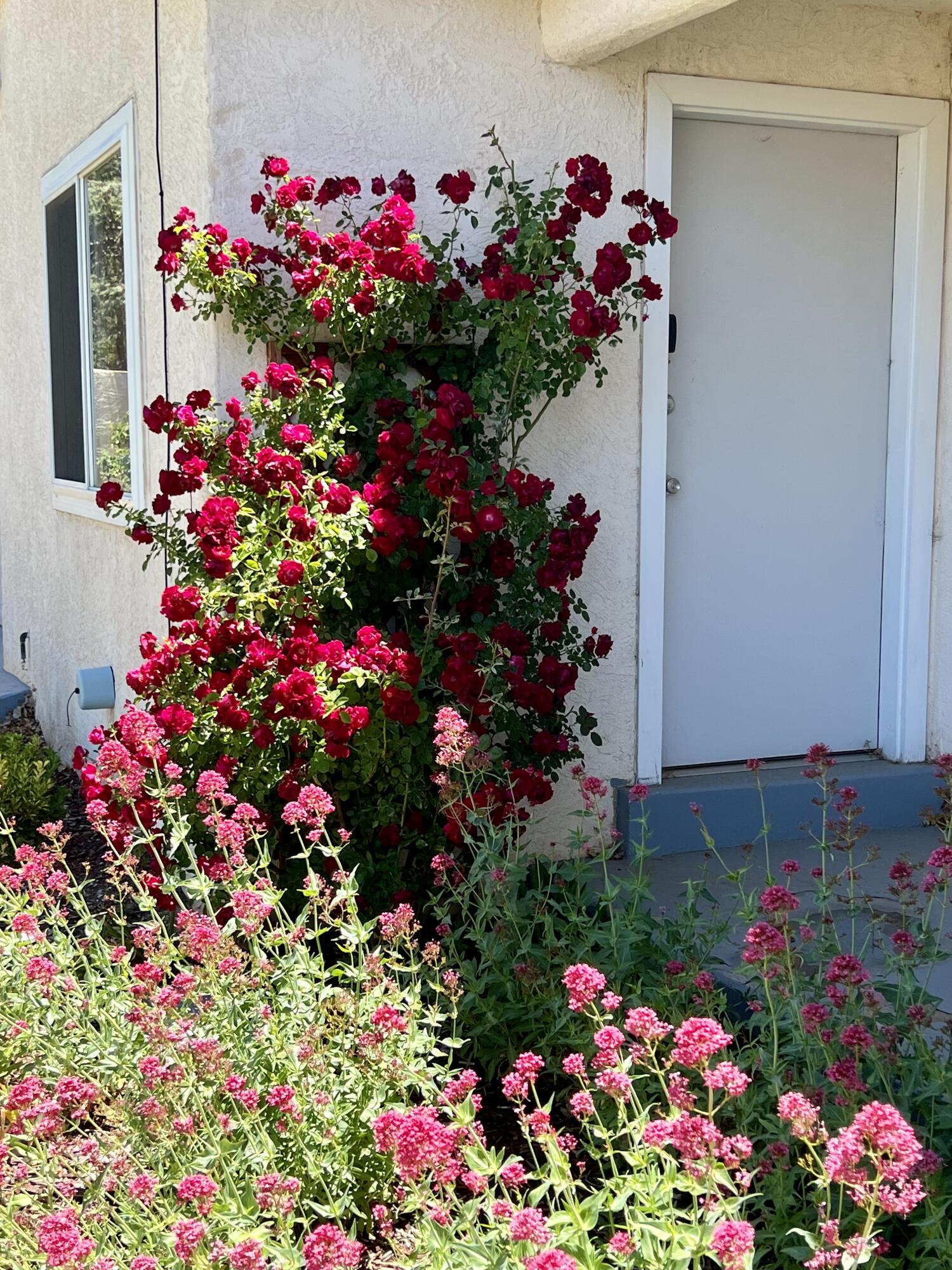 9722 APACHE Avenue NE